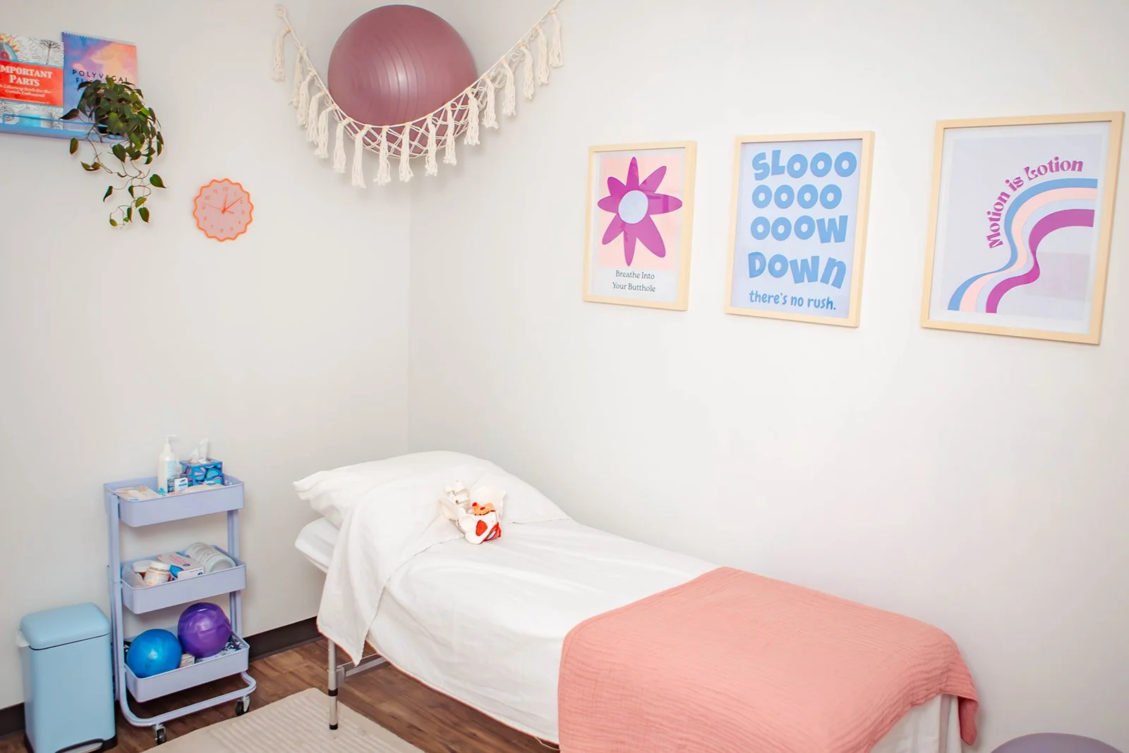 pelvic floor therapy clinic in private room with playful but calming colors. pelvic model, treatment table, plants, exercise ball, etc. located in glendale/belcaro neighborhood of denver