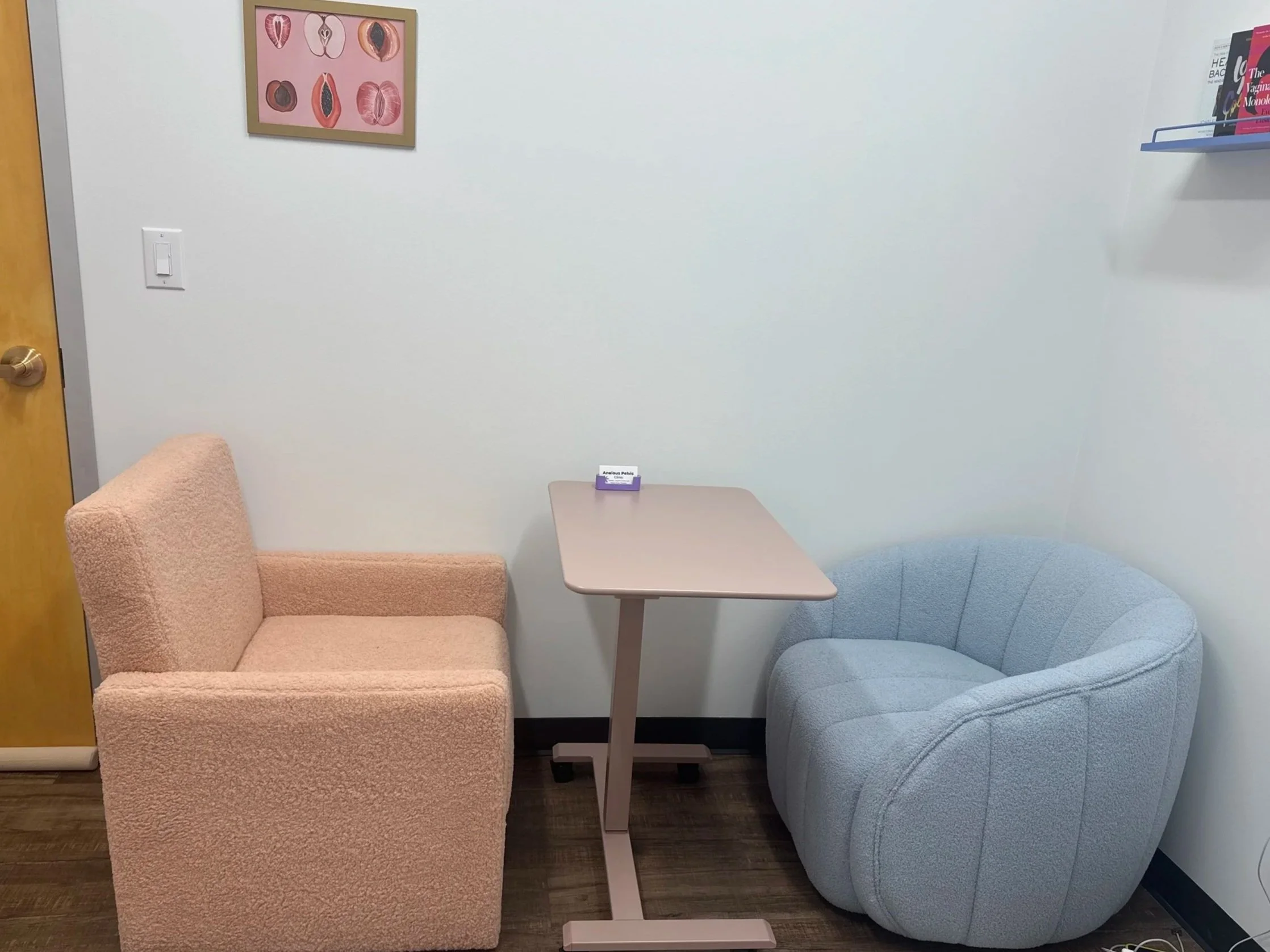 Two chairs that are in the denver anxious pelvis clinic where there is talk therapy, narrative assessment during pelvic floor evaluation, education for pelvic health/treatment plans/home exercise programs, nervous system regulation training and more.