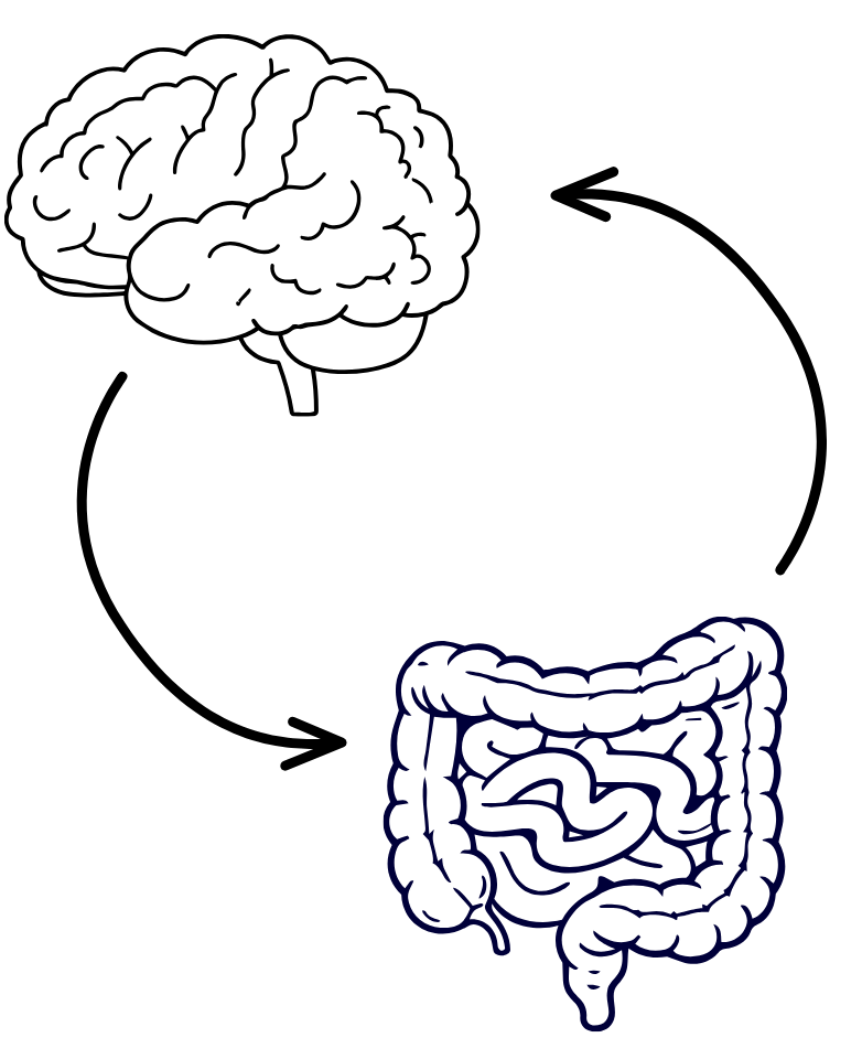 illustration of a brain and of the intestines with arrows going to each to show the brain-gut connection. Anxiety and stress can increase chronic constipation.