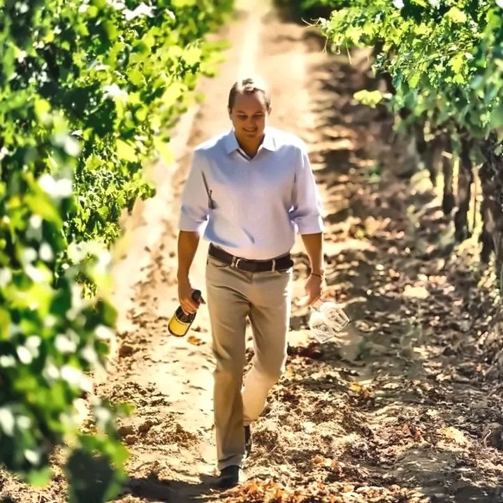 A person walking through a vineyard with lush green grapevines. They are smiling, holding a water bottle and a cell phone, dressed in a white shirt and beige pants.