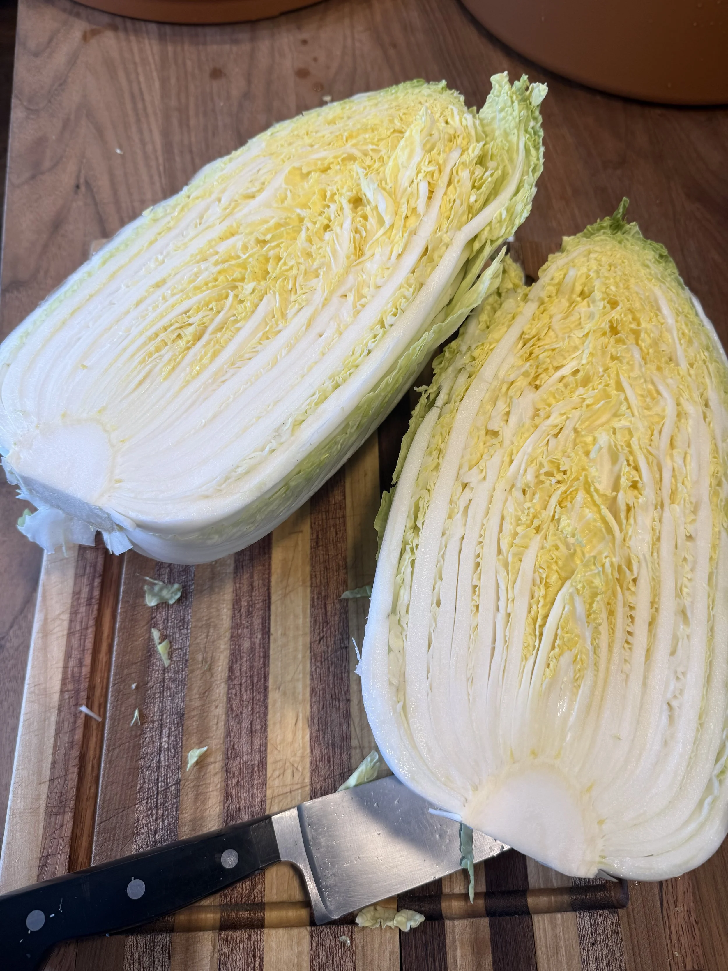 Stay Gold - Kraut Sampler