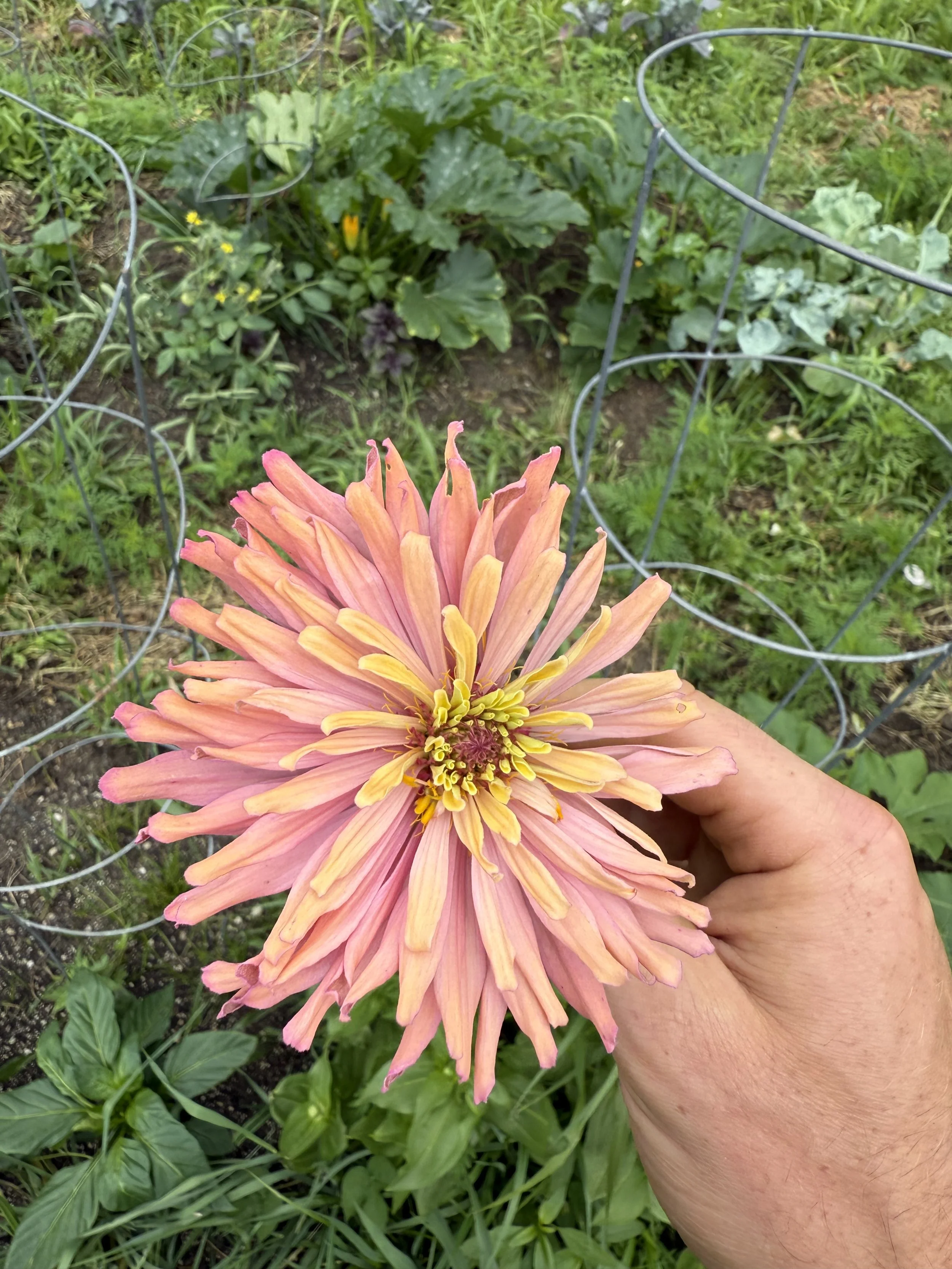Bouquet Making Class - 8/8/2026