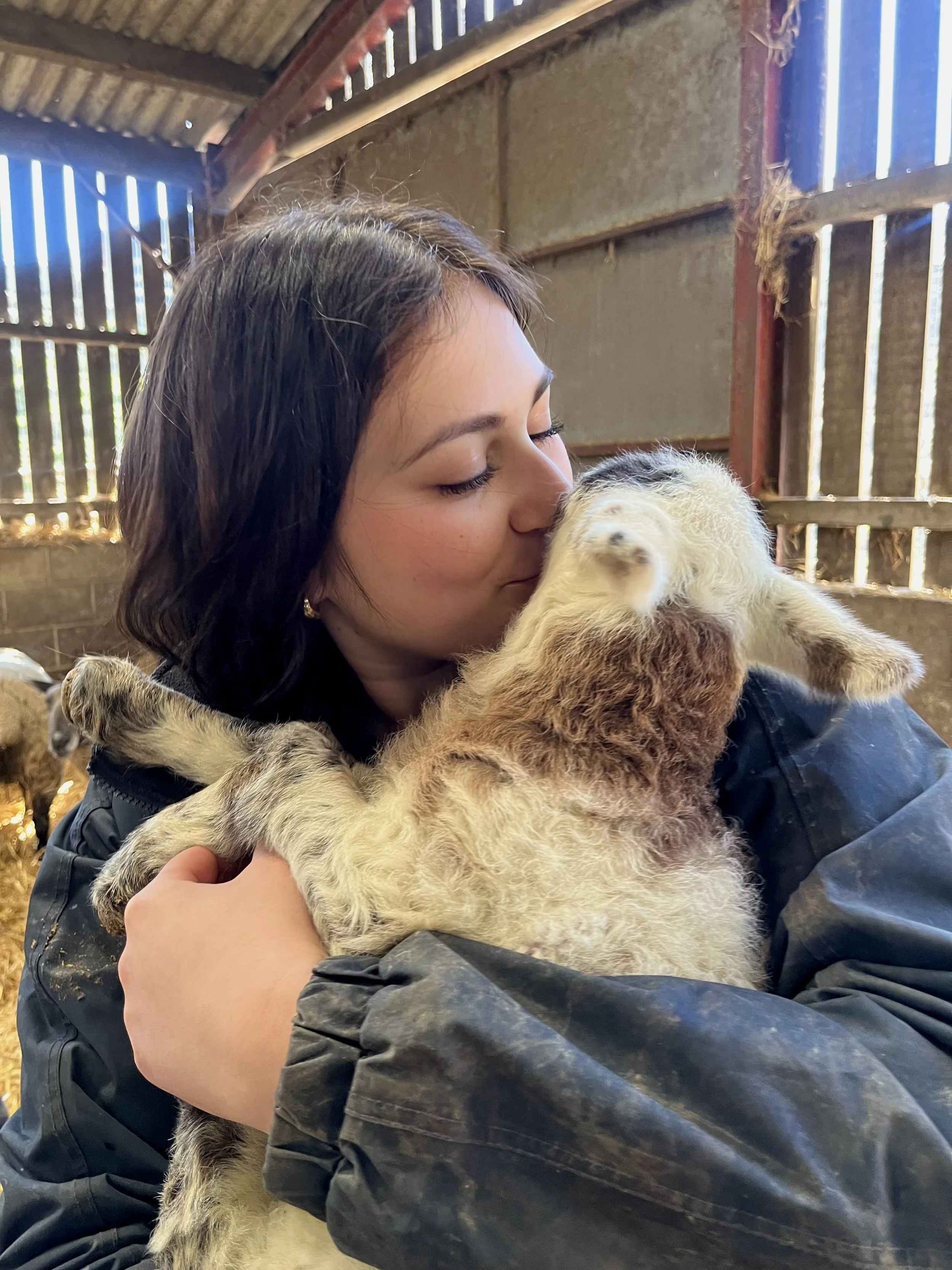 A woman hugging a small, fluffy lamb inside a barn.