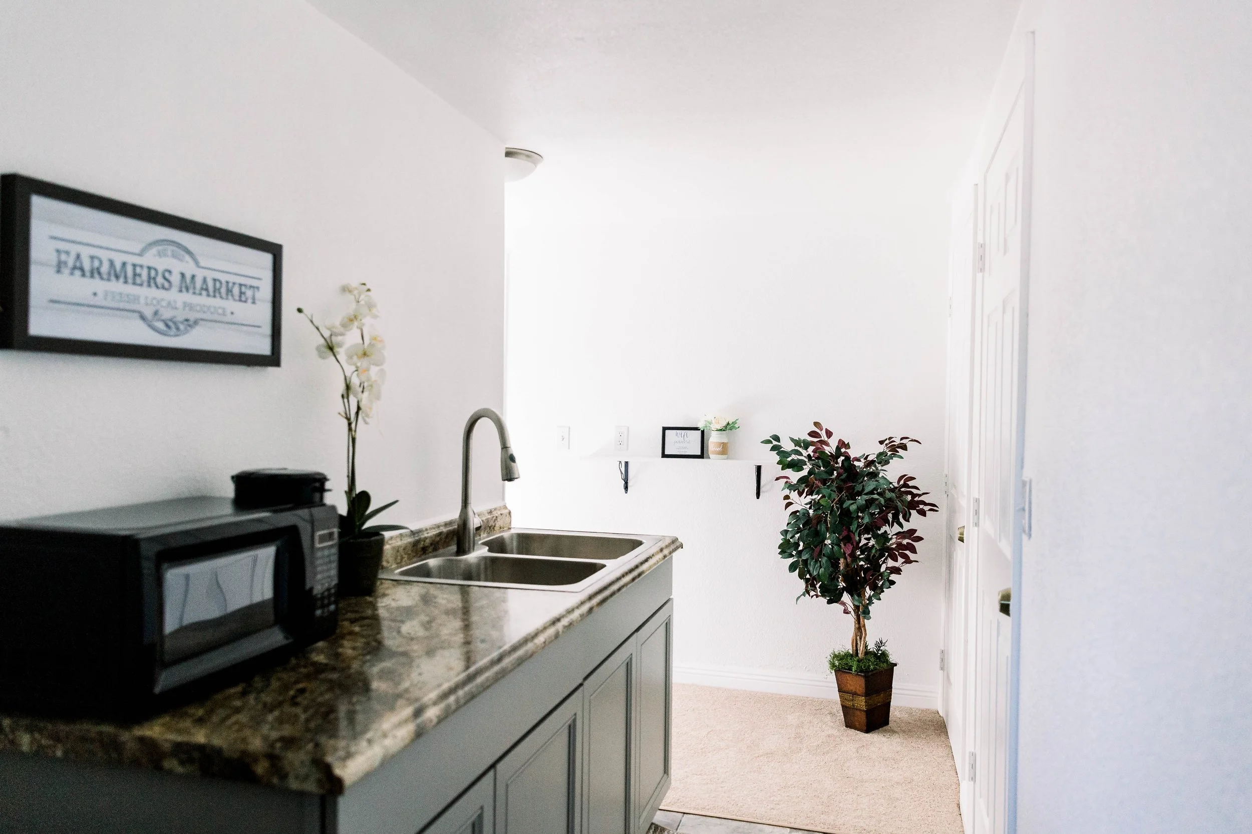 Kitchenette Counter.jpg