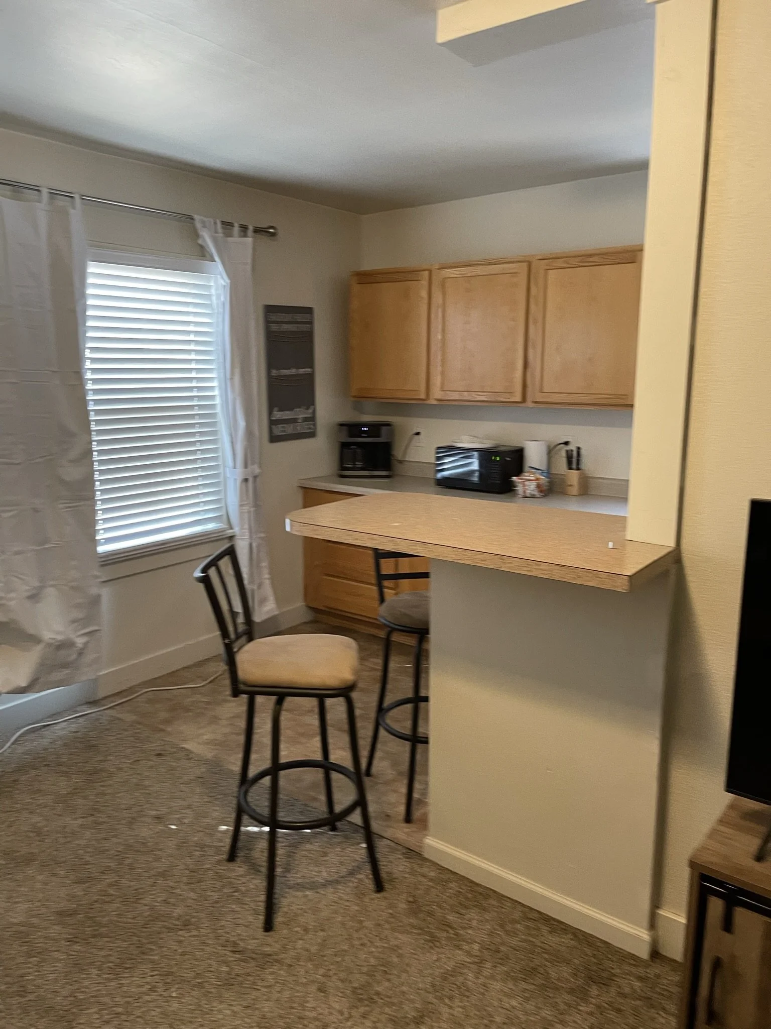 1510 Kitchen IMG_3223.JPEG