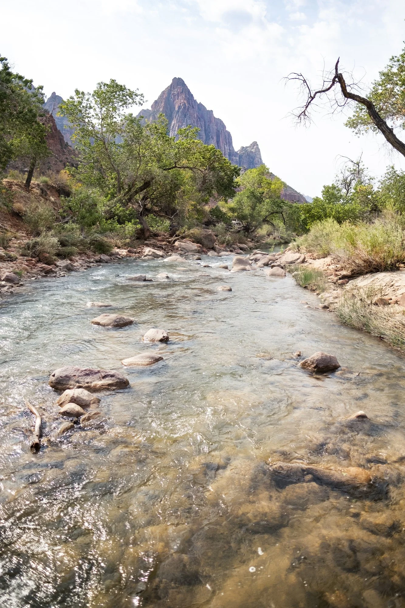 A clear river flowing through a rocky area with green trees on the riverbank and a mountain in the background under a partly cloudy sky.