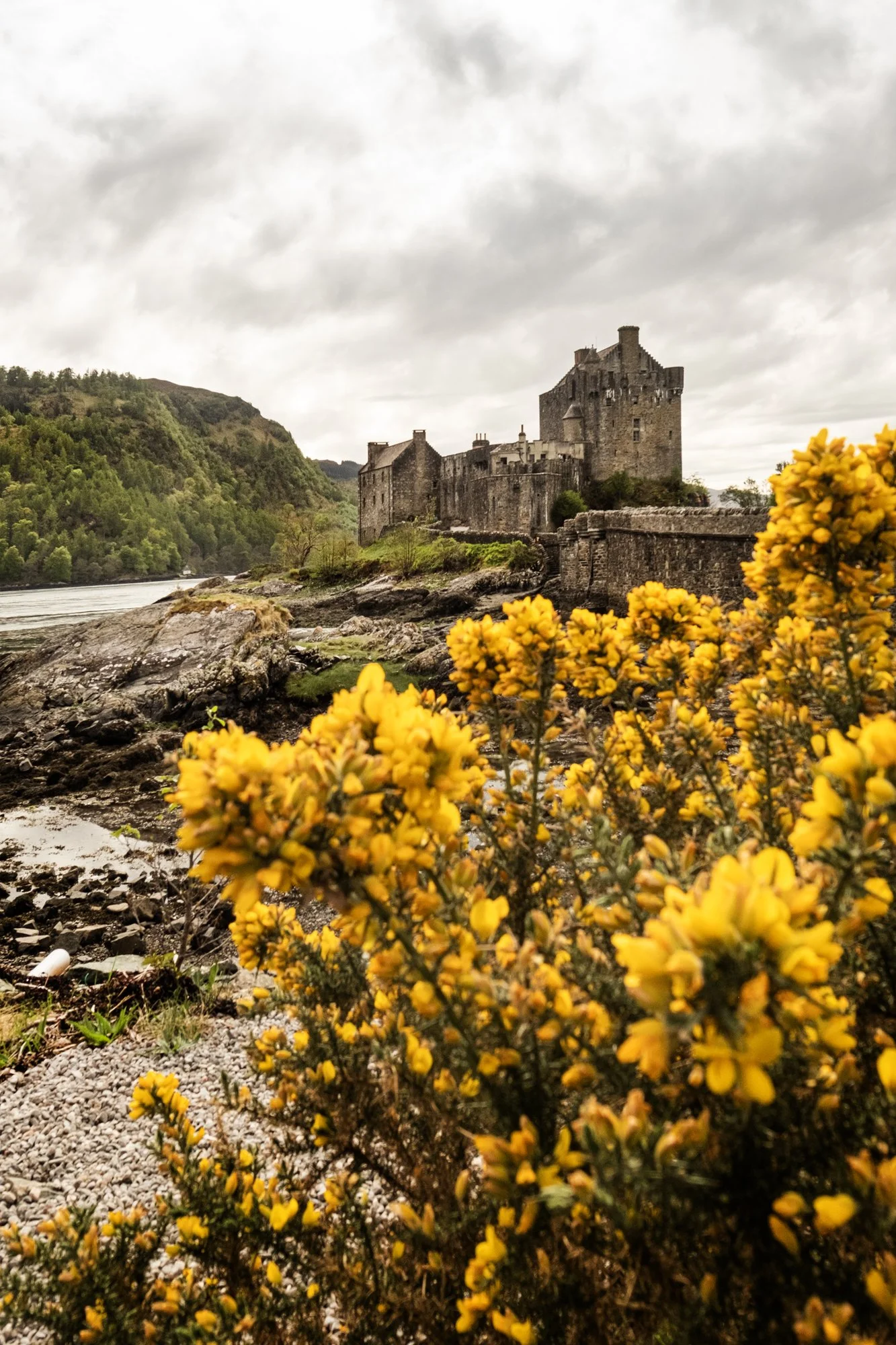 3. Eileen Donan002.jpg