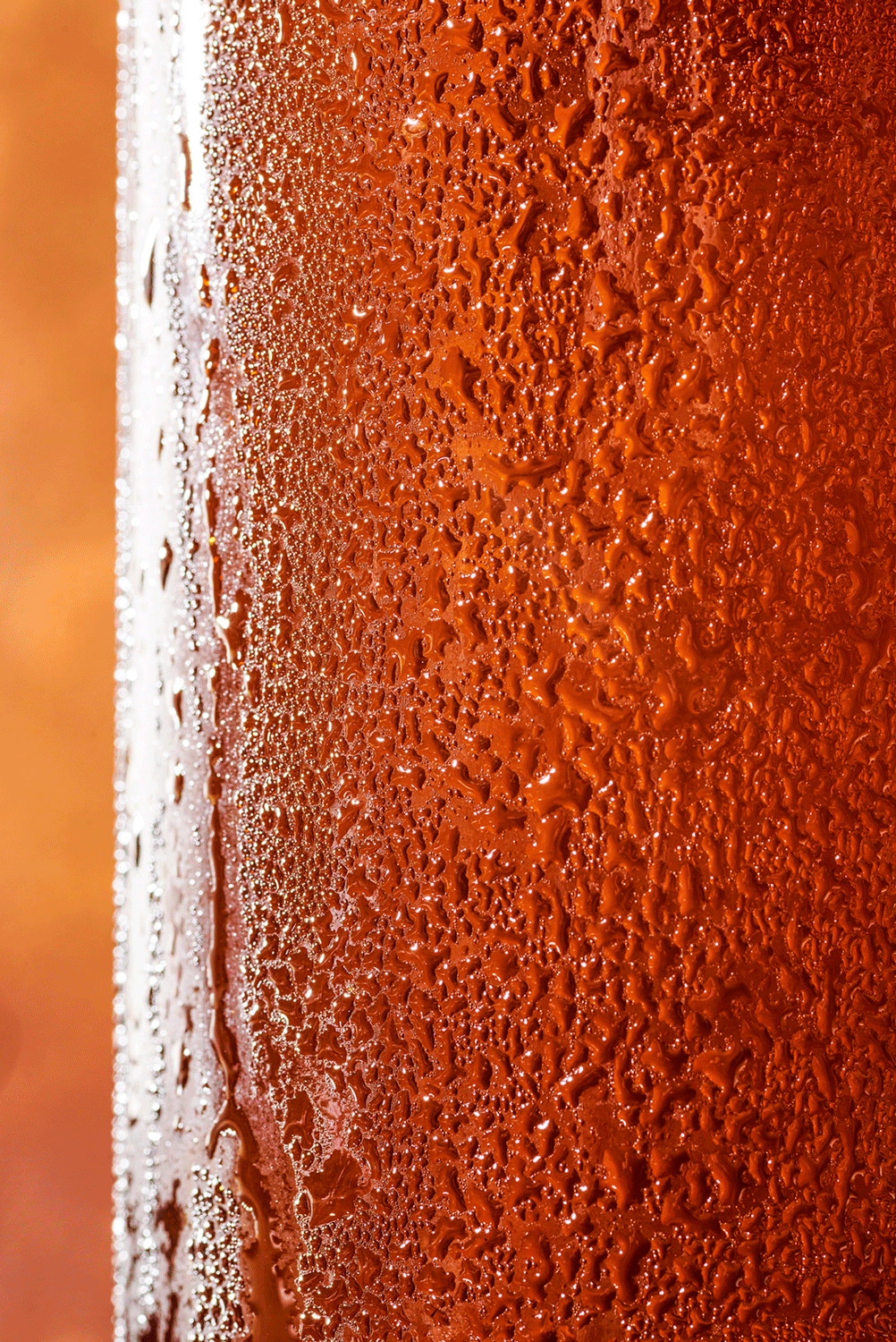 Beer Test 03 copy.gif