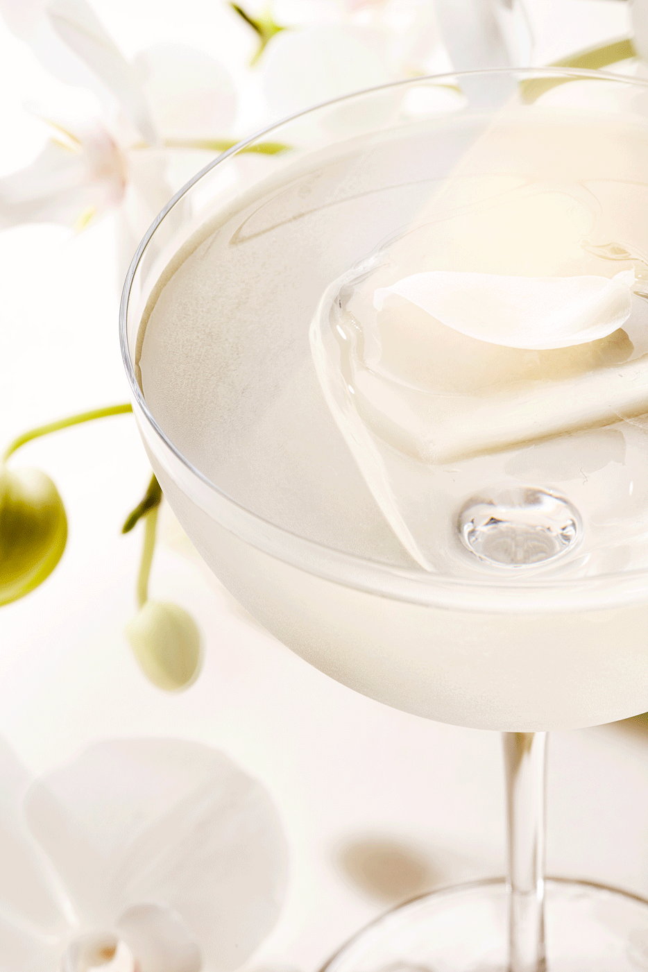 Orchids5374-stop-motion copy.gif