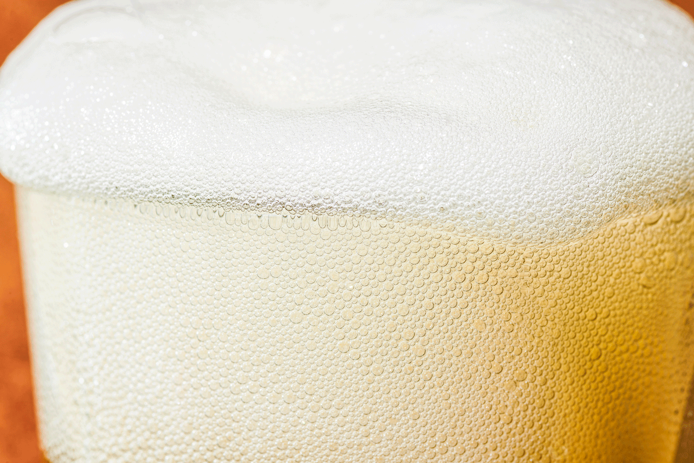 Beer Test 04 copy.gif