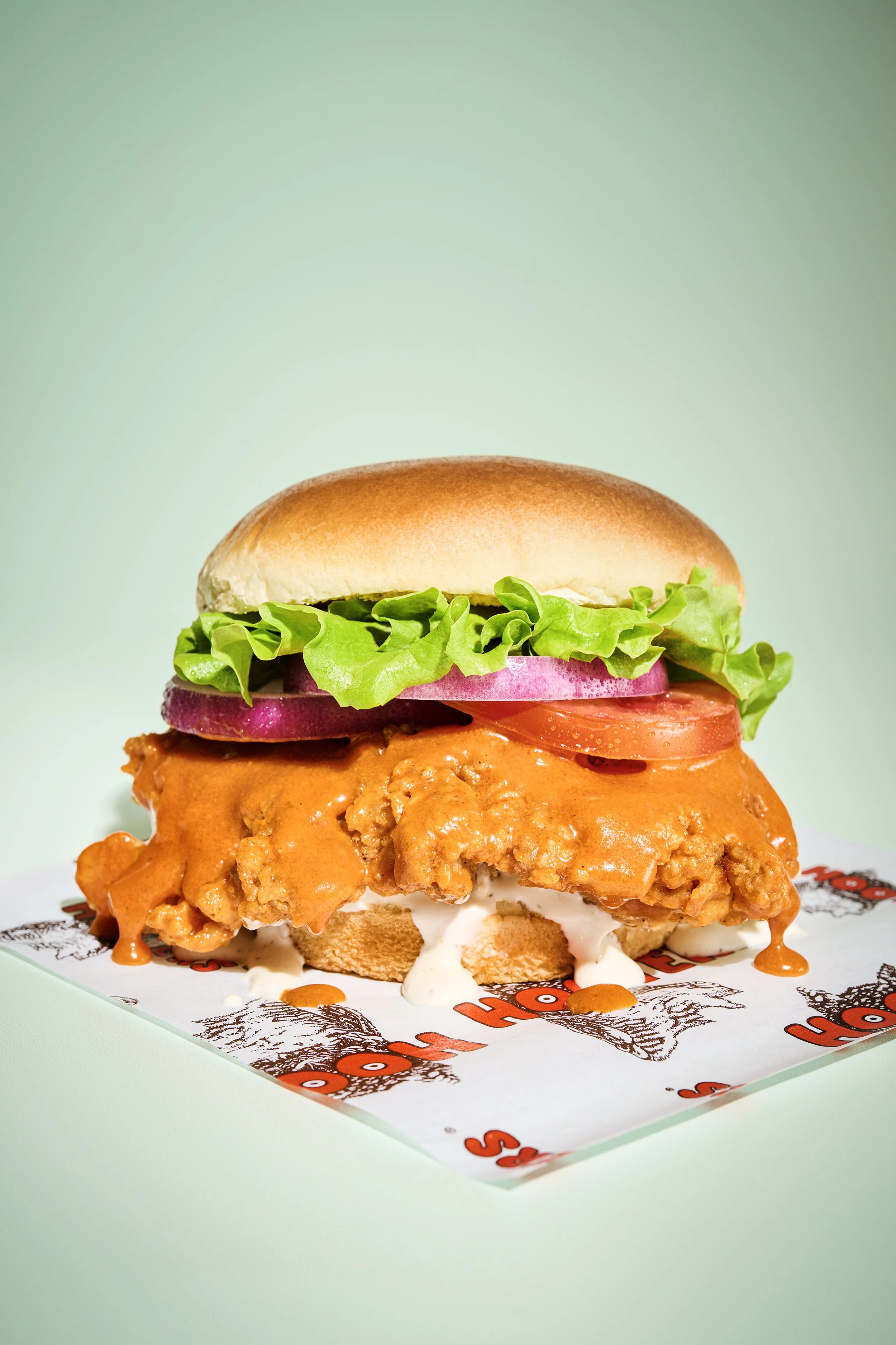 26005 - Hooters Lifestyle Food6355 copy.jpg