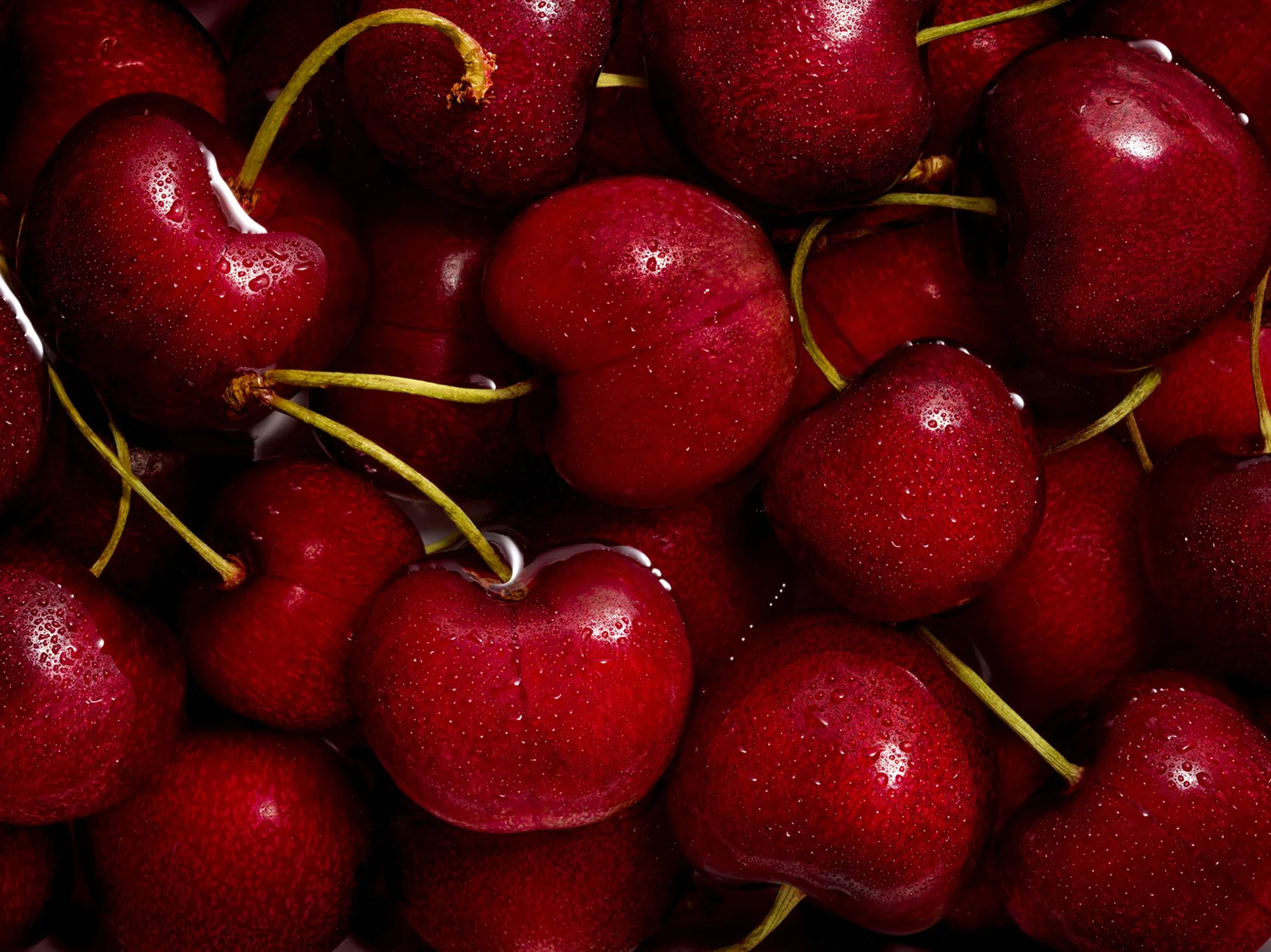 Food 56 copy.jpg