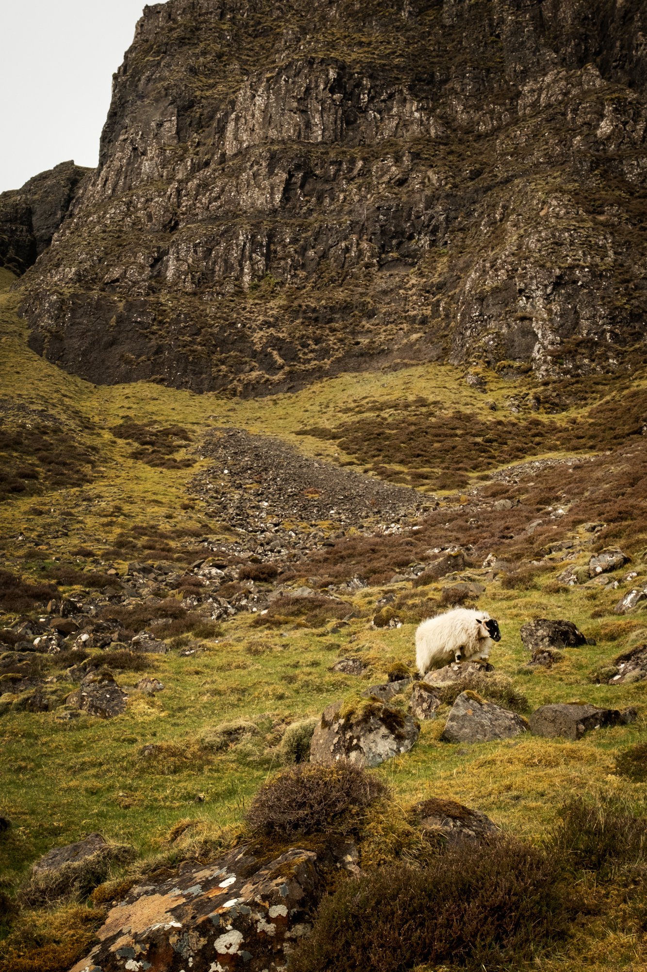 5. Quiraing016.jpg