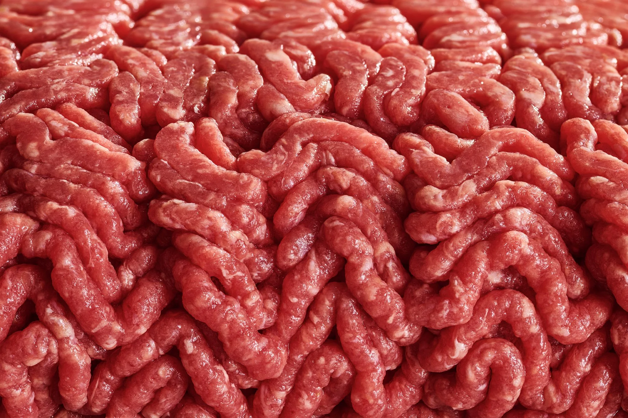 Wild Fork Editorial020.jpg