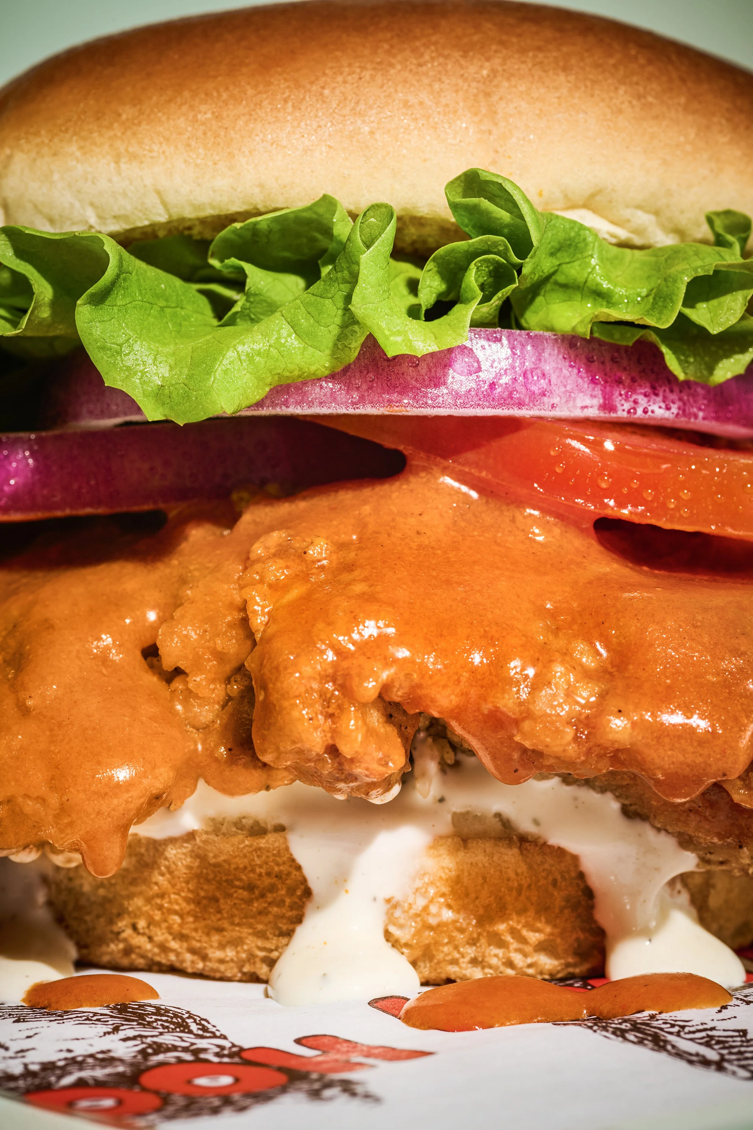 26005 - Hooters Lifestyle Food6374-2 copy.jpg