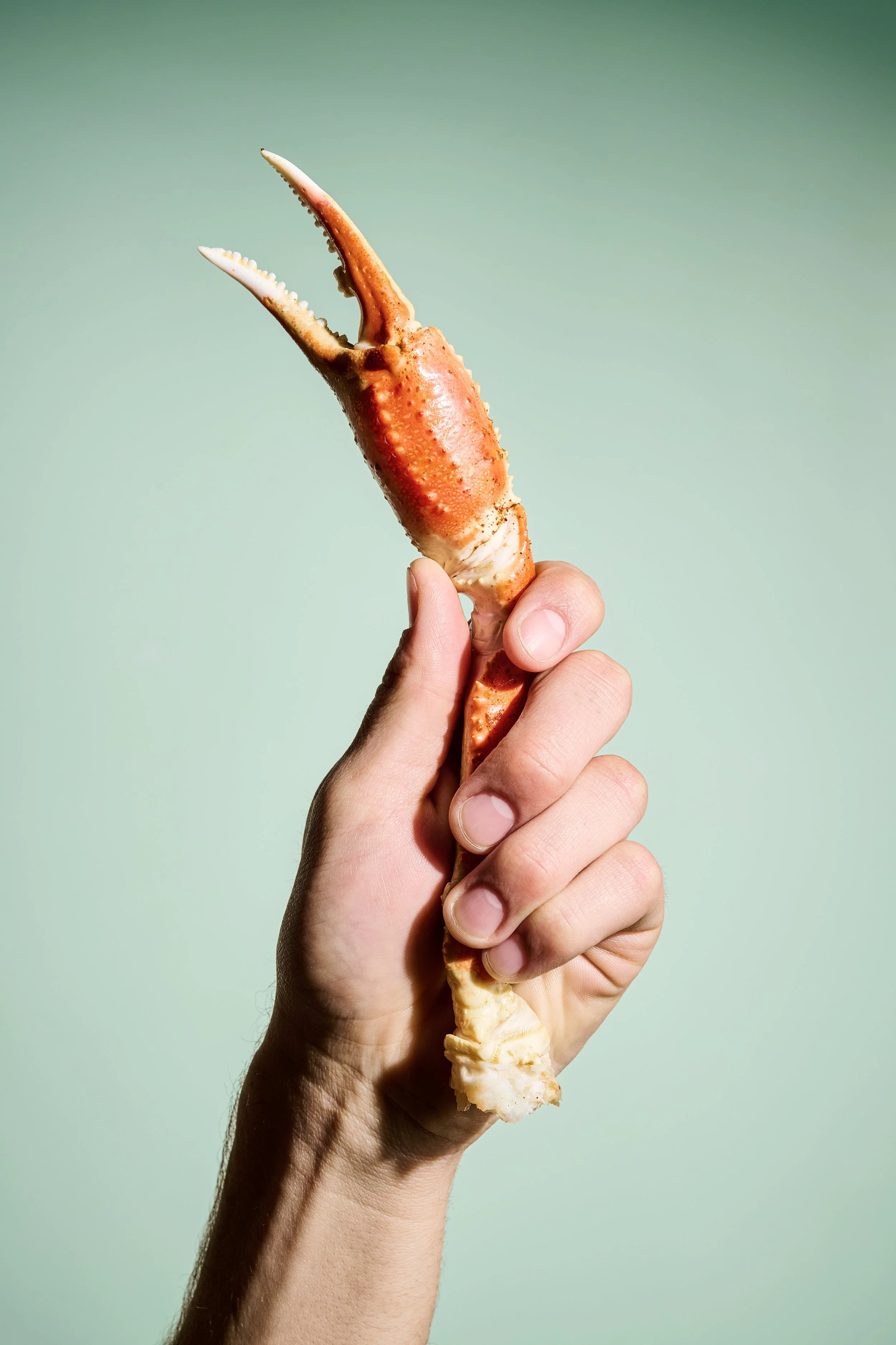 26005 - Hooters Lifestyle Food5613 copy.jpg