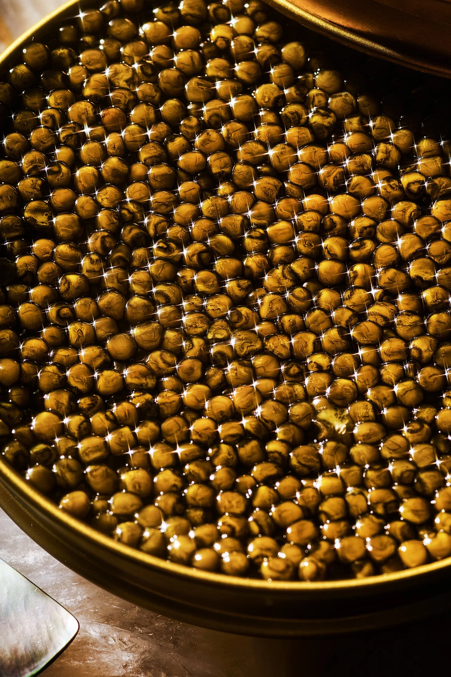 French Test Shoot44995p.jpg