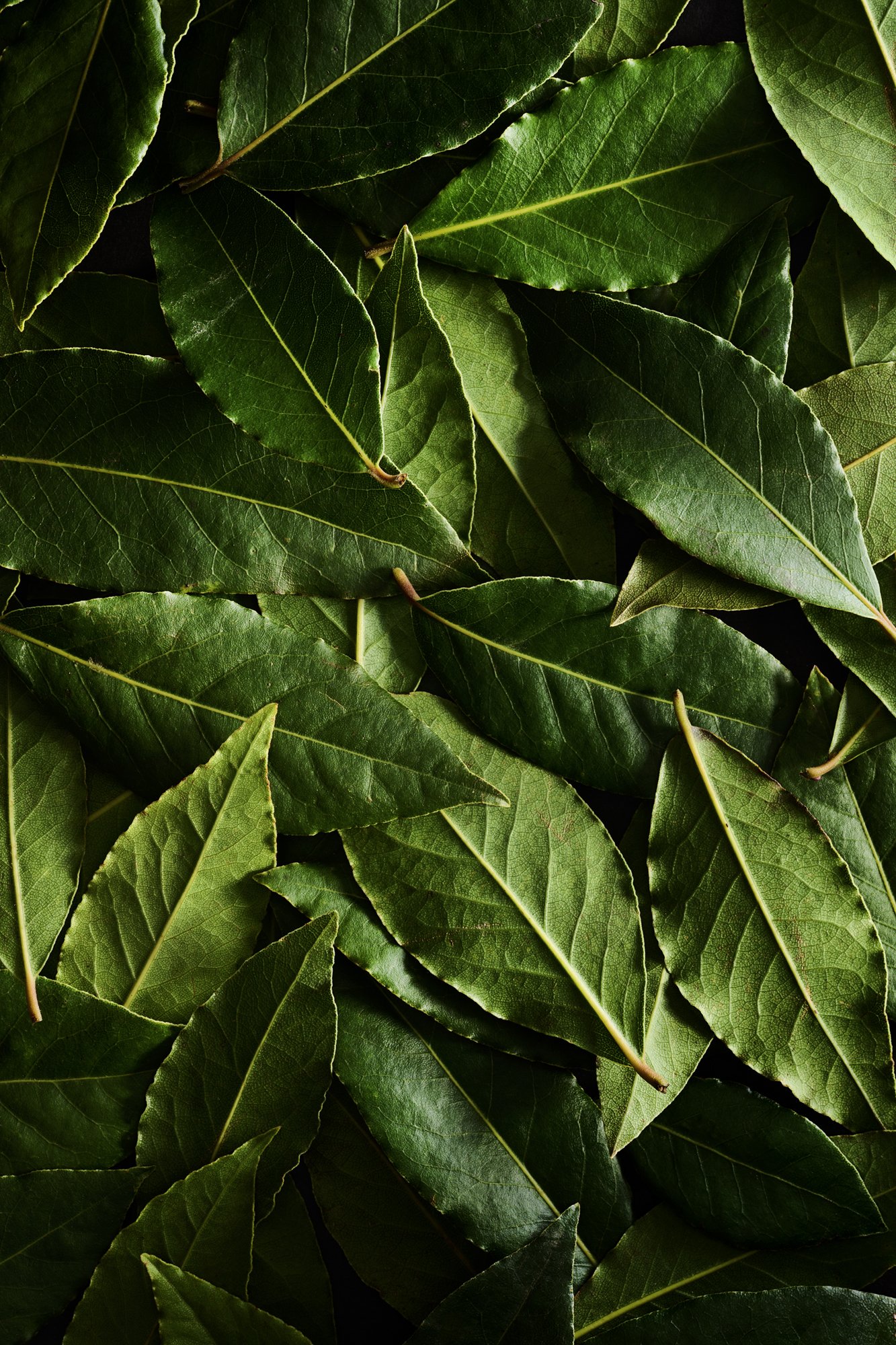 Test Shoot 11-030745.jpg