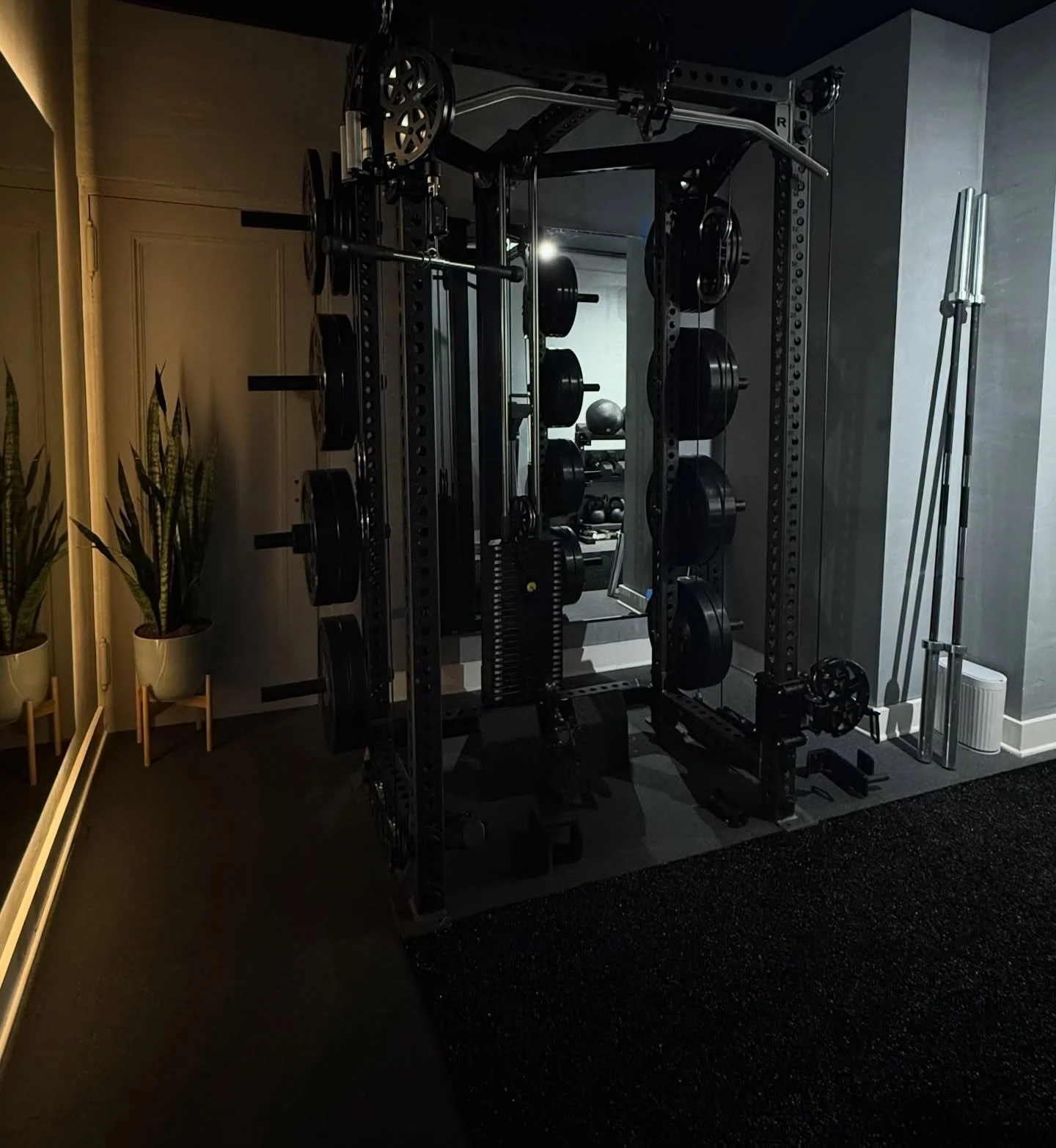 Does having a plant nearby make back squats and Bulgarian split squats hurt any less? Asking for a friend&hellip;