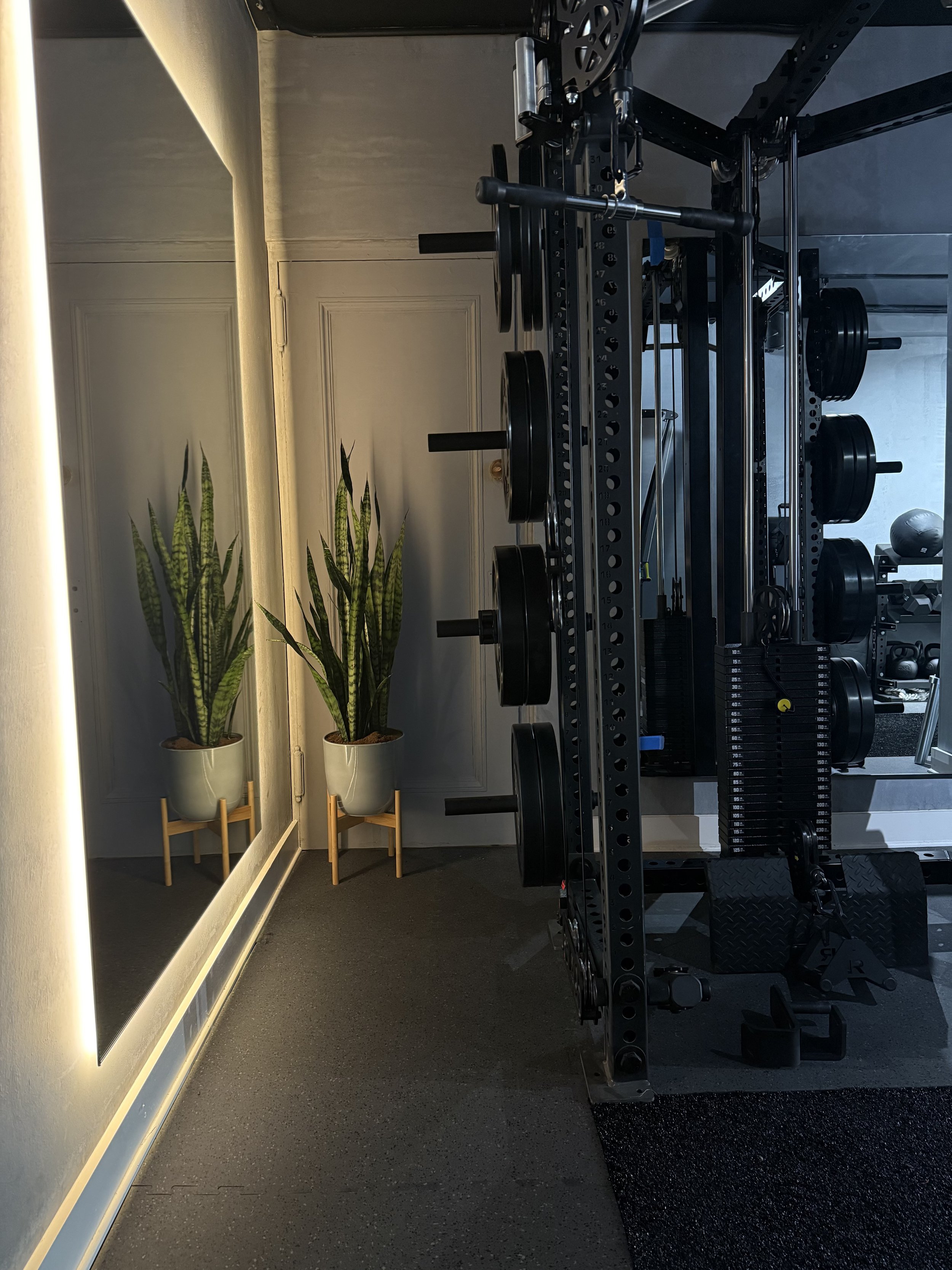 A home gym with weightlifting equipment, including a squat rack with weight plates, kettlebells, and a weight stack, beside a mirror with potted plants reflected.
