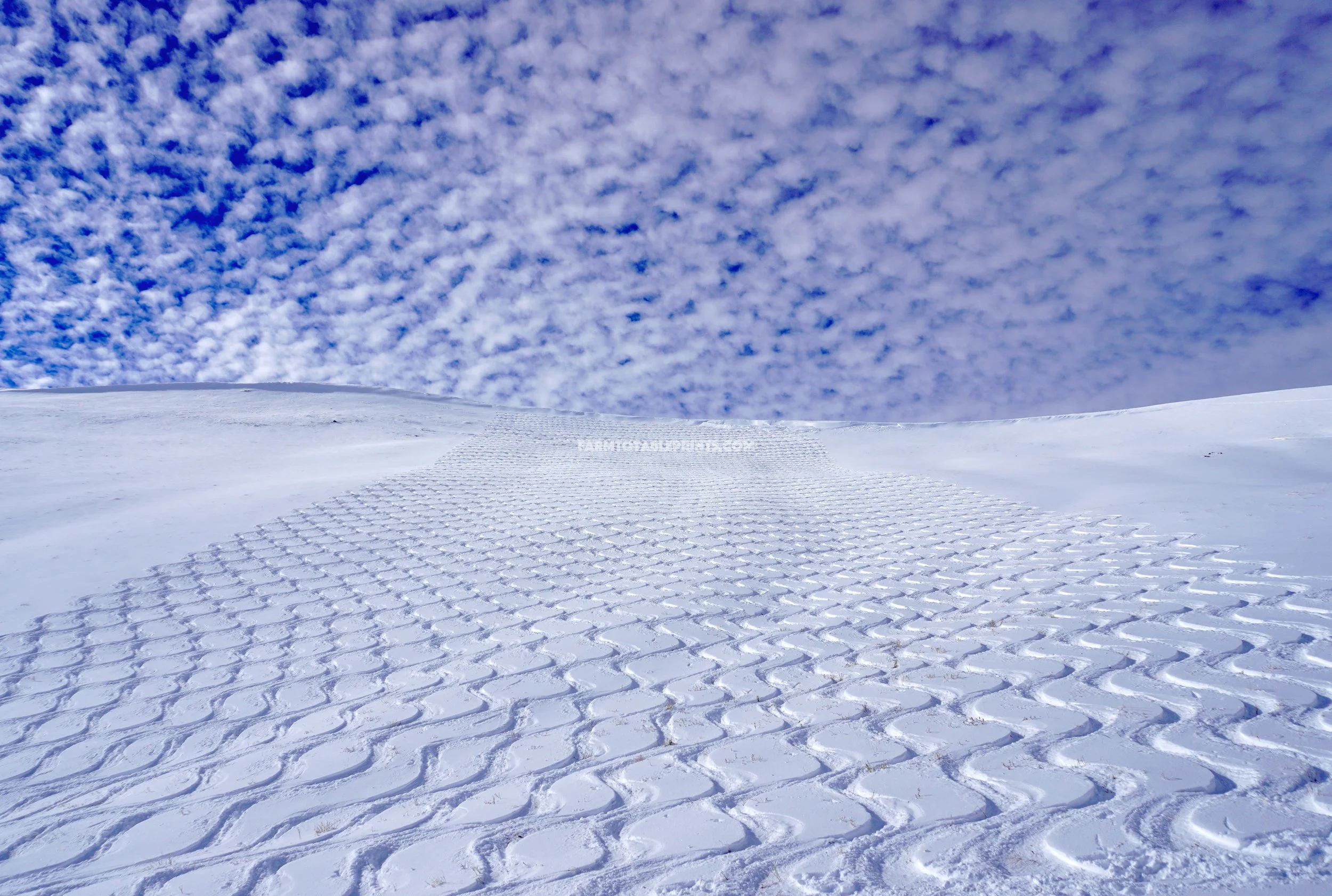 Cloud Farm