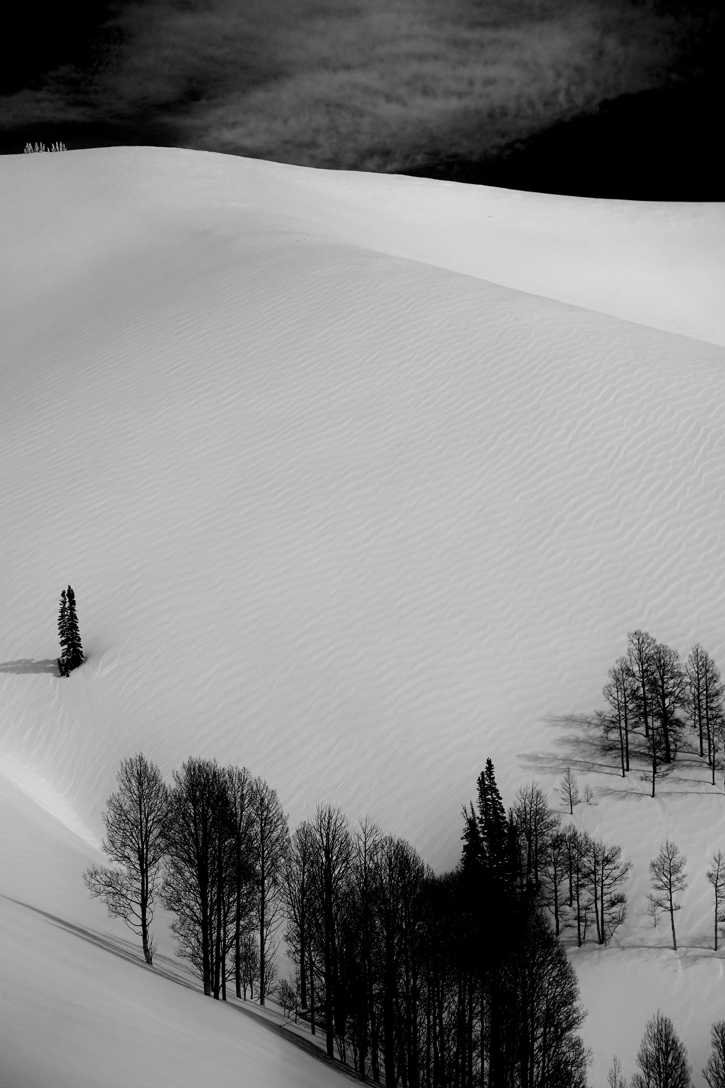 Wind Effect
