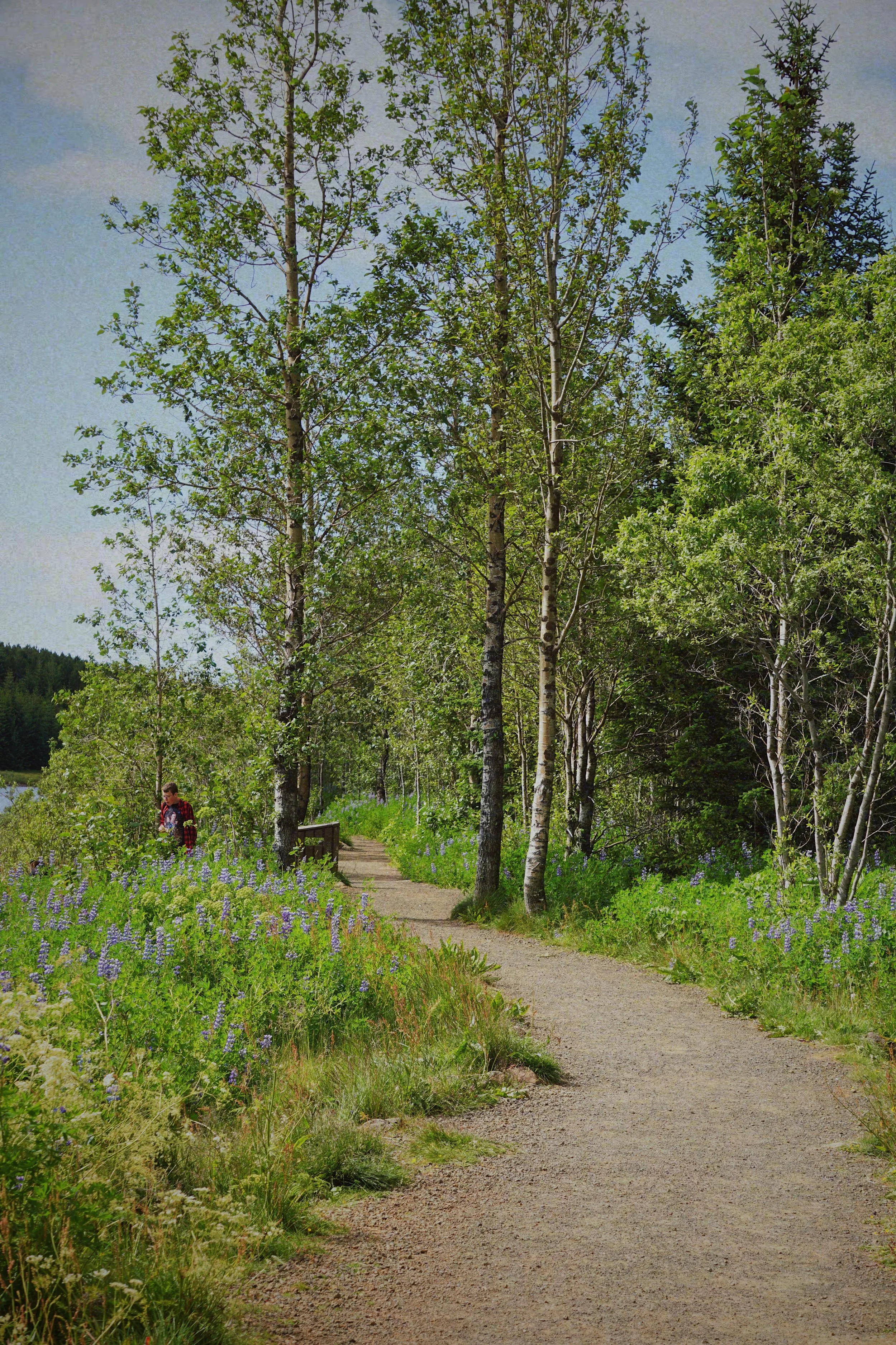 FullSizeRender 6.jpg