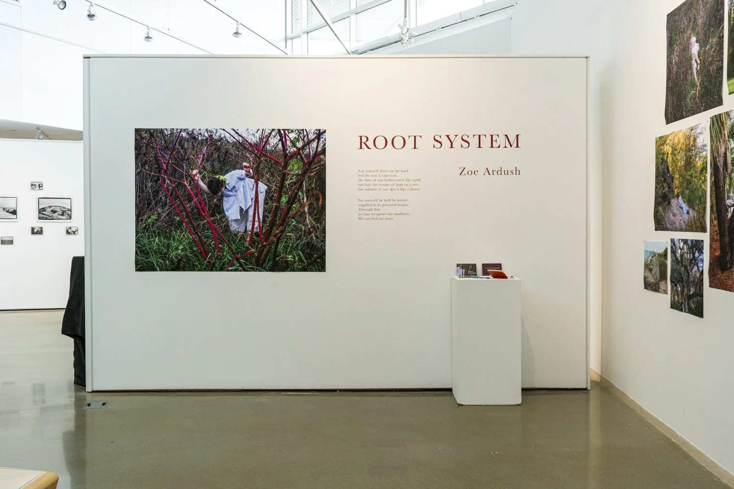 ROOTSYSTEMSINSTALL-10.jpg