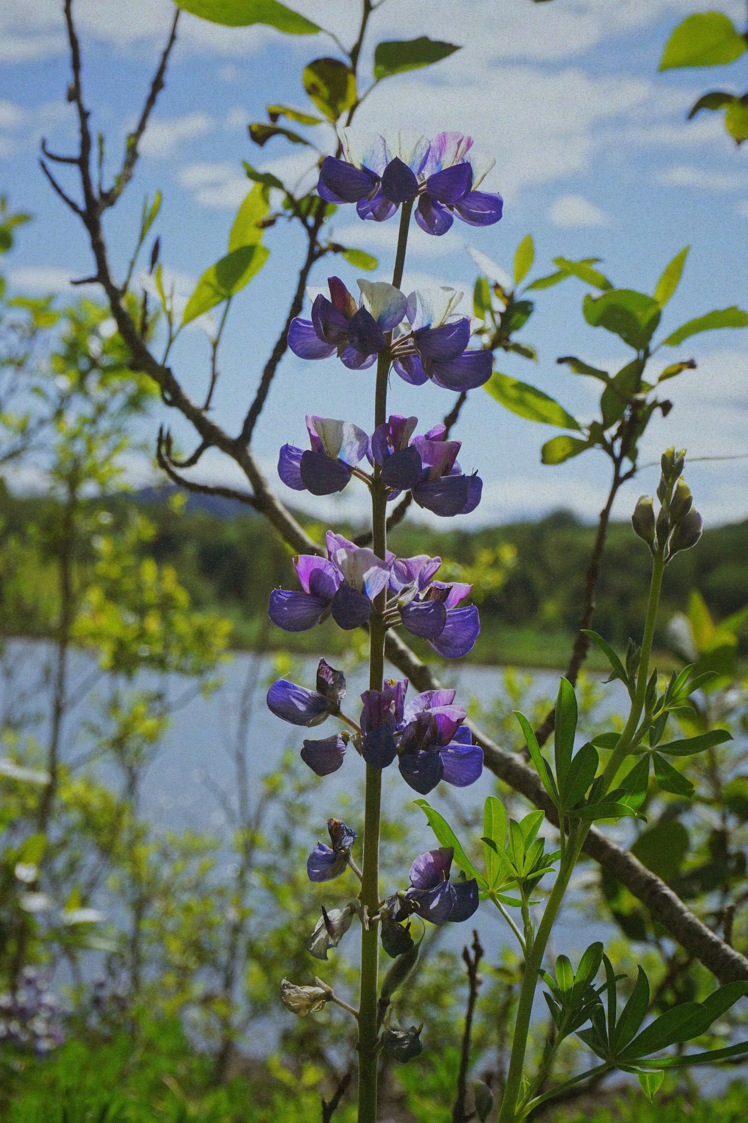 FullSizeRender 4.jpg