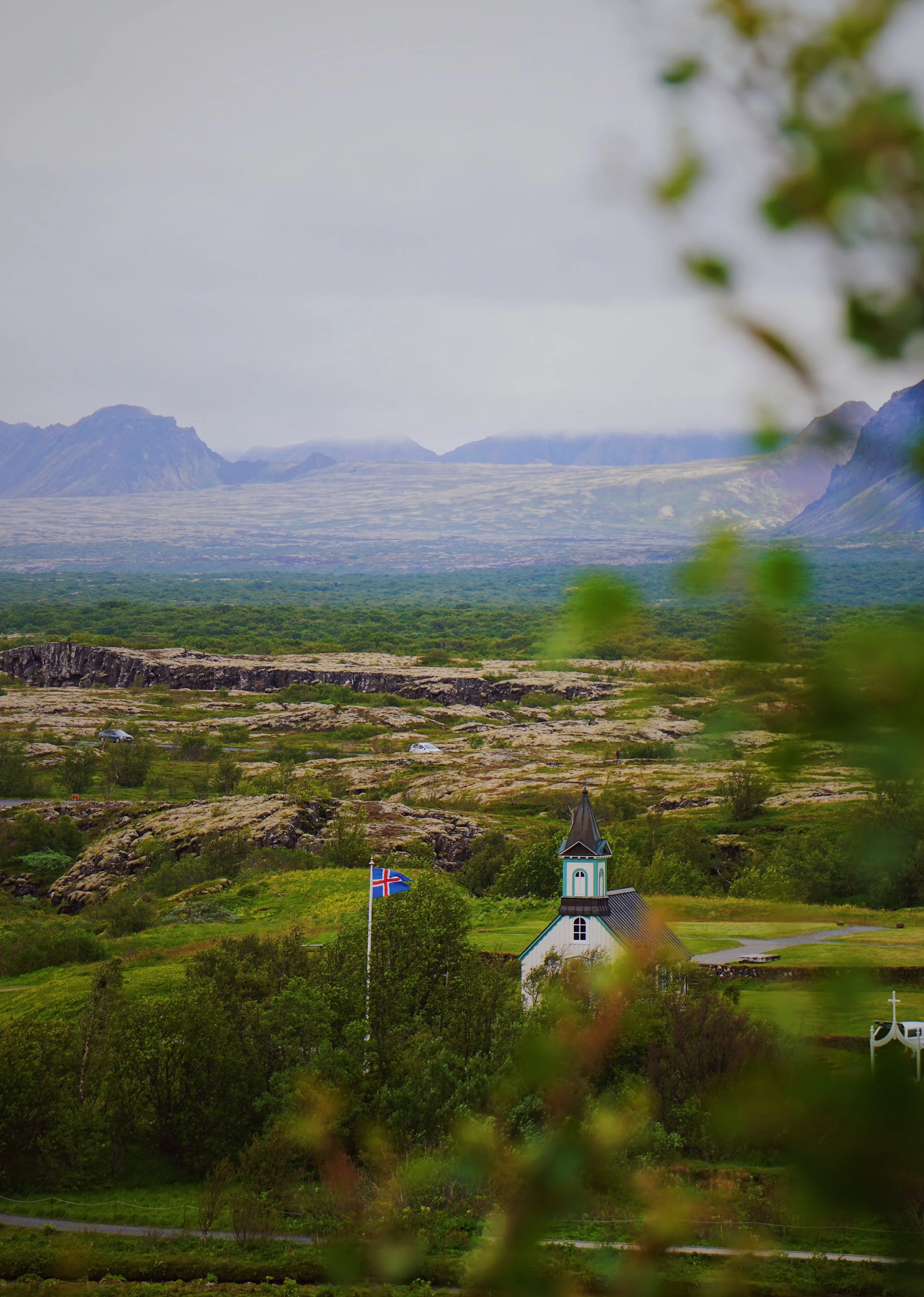 FullSizeRender 10.jpg