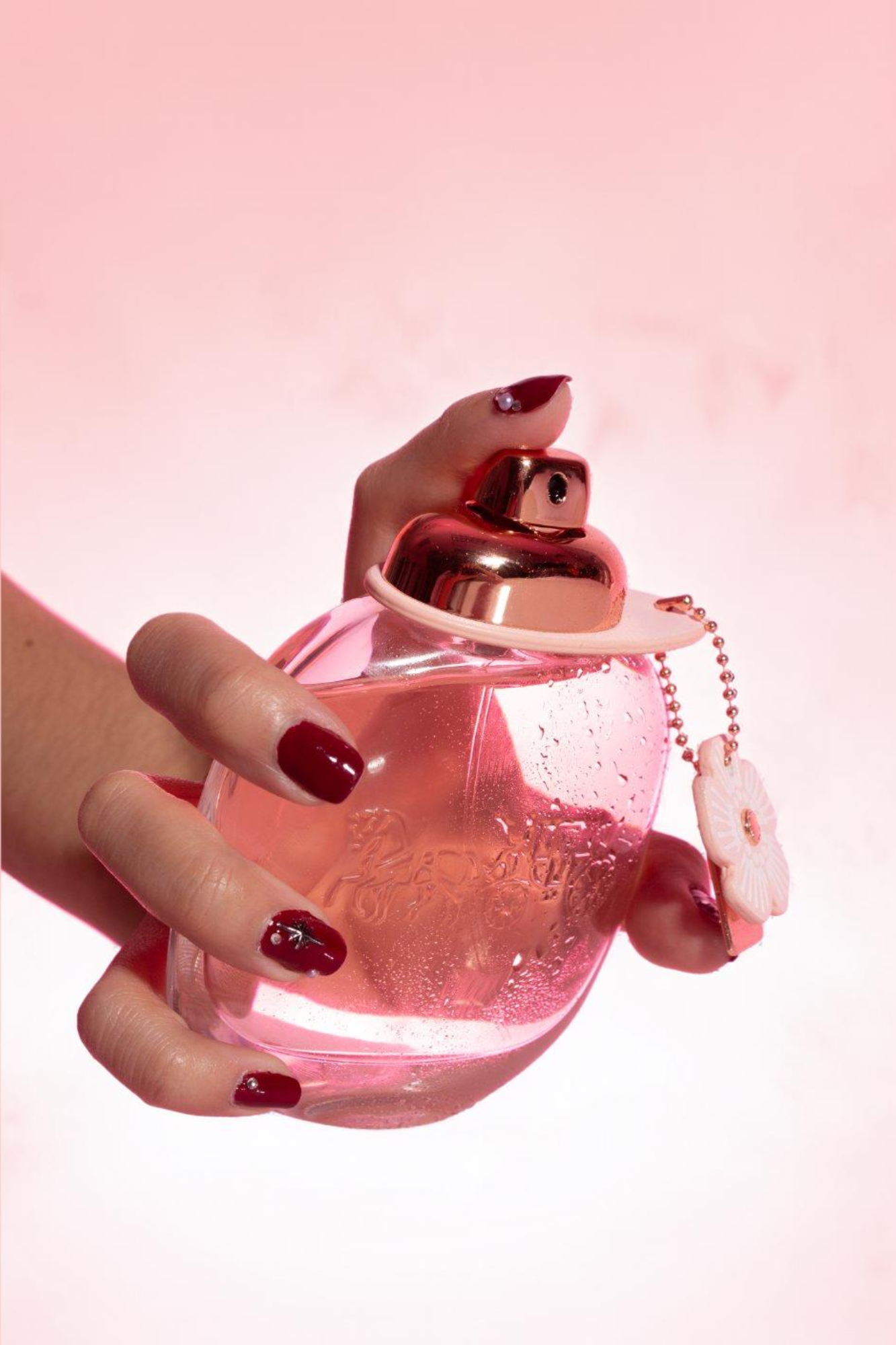 Firefly 20241030232317.png