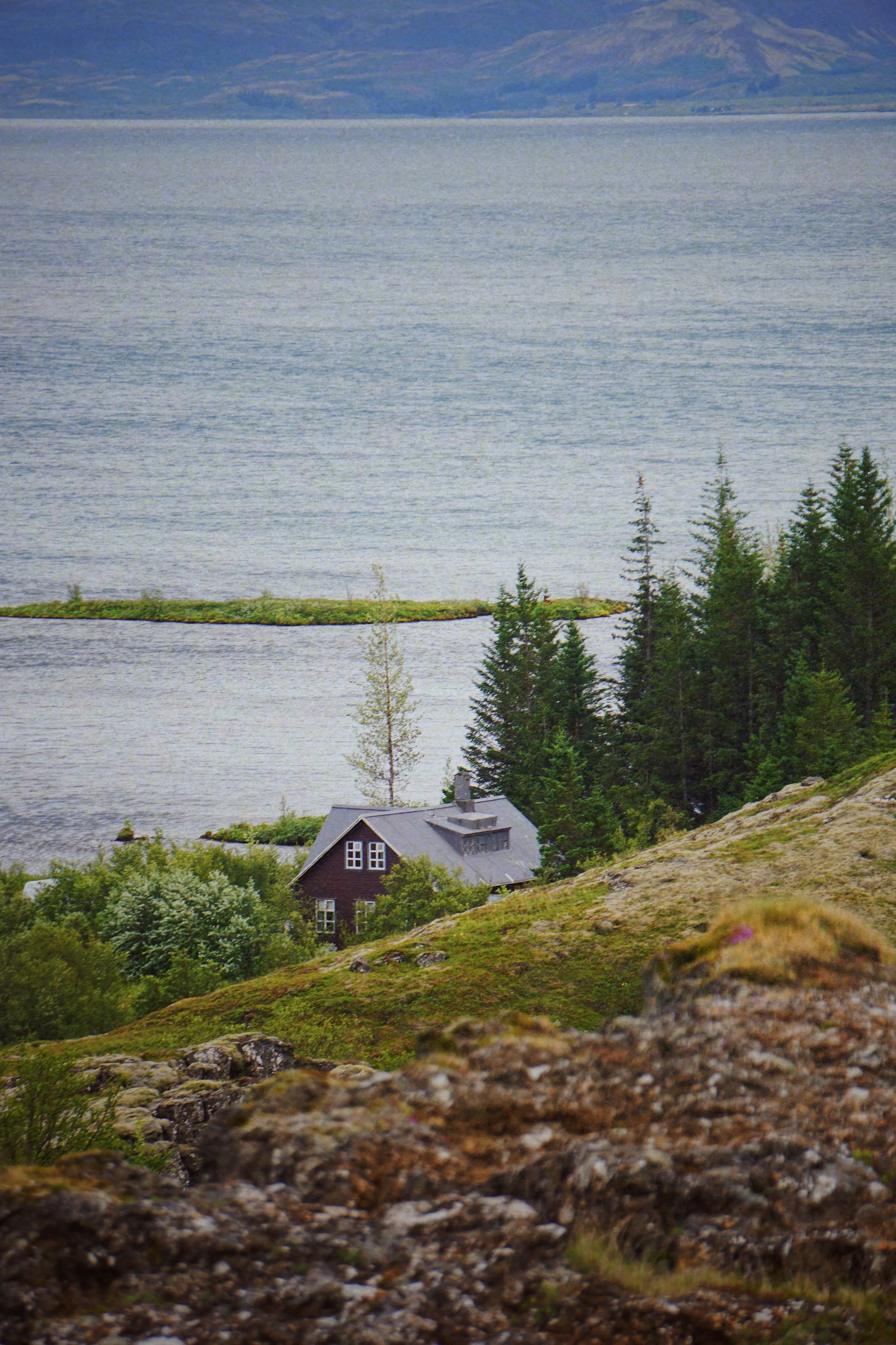 FullSizeRender 9.jpg