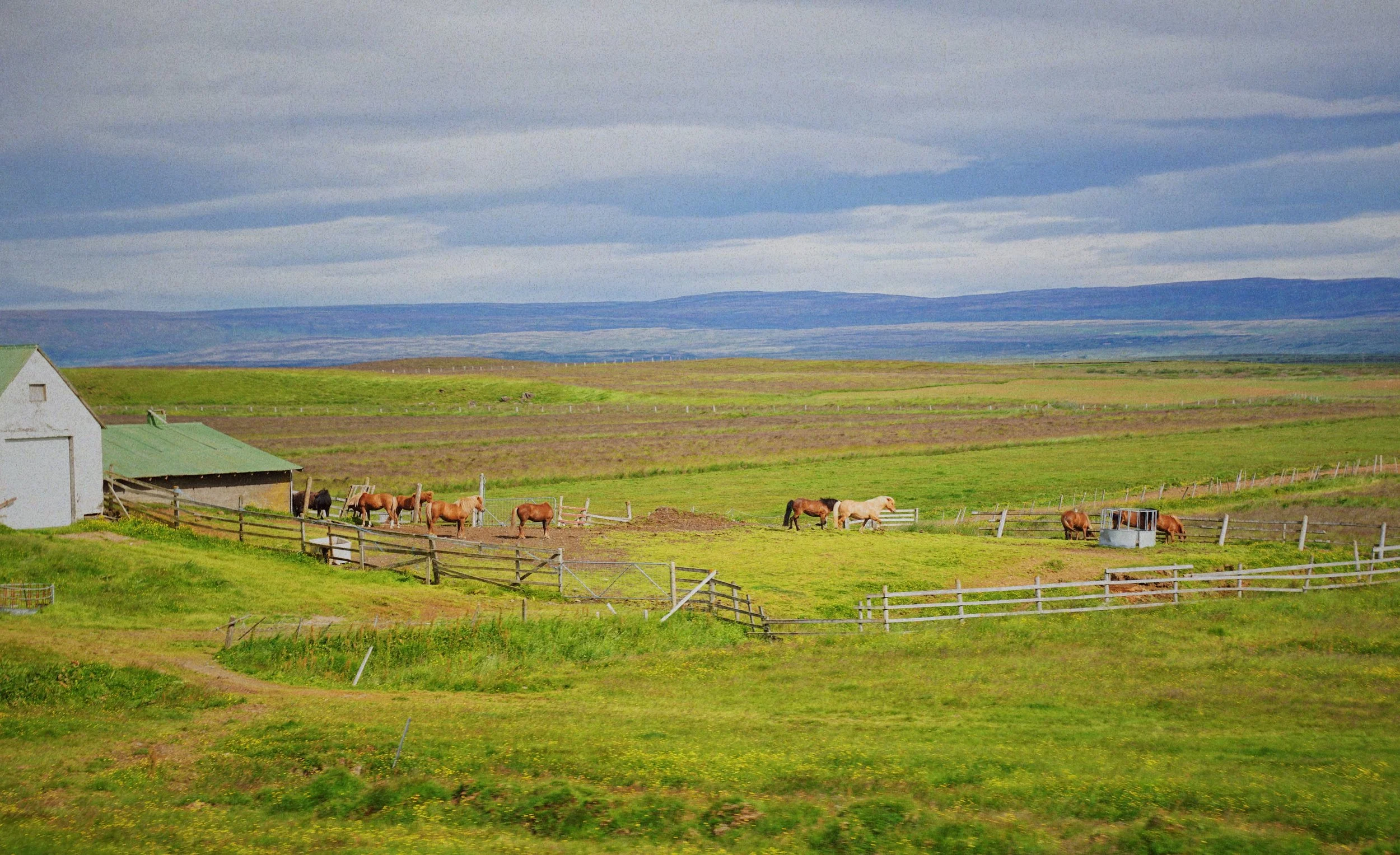 FullSizeRender 12.jpg