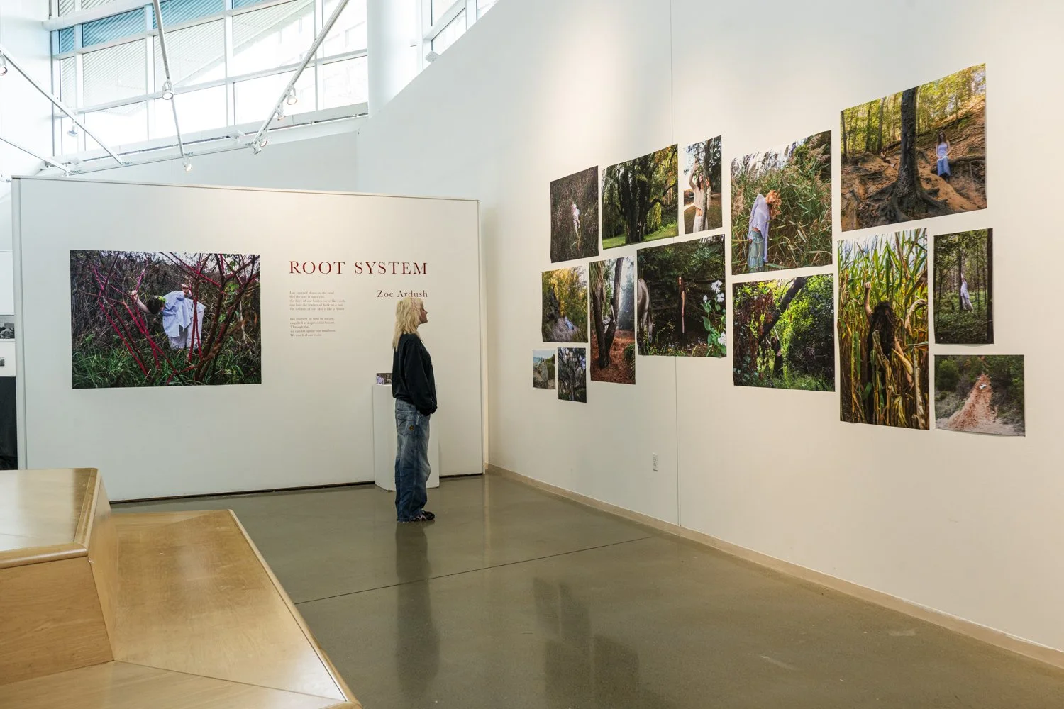 ROOTSYSTEMSINSTALL-12.jpg