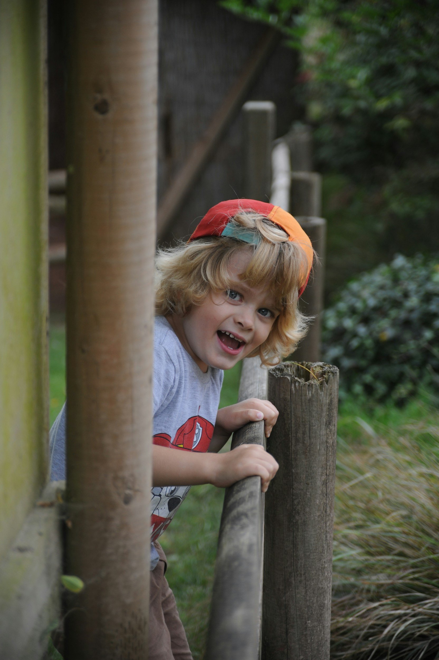 A young boy with blonde curly hair and wearing a gray t-shirt featuring a cartoon character, leaning over a wooden railing outdoors, smiling and looking at the camera.