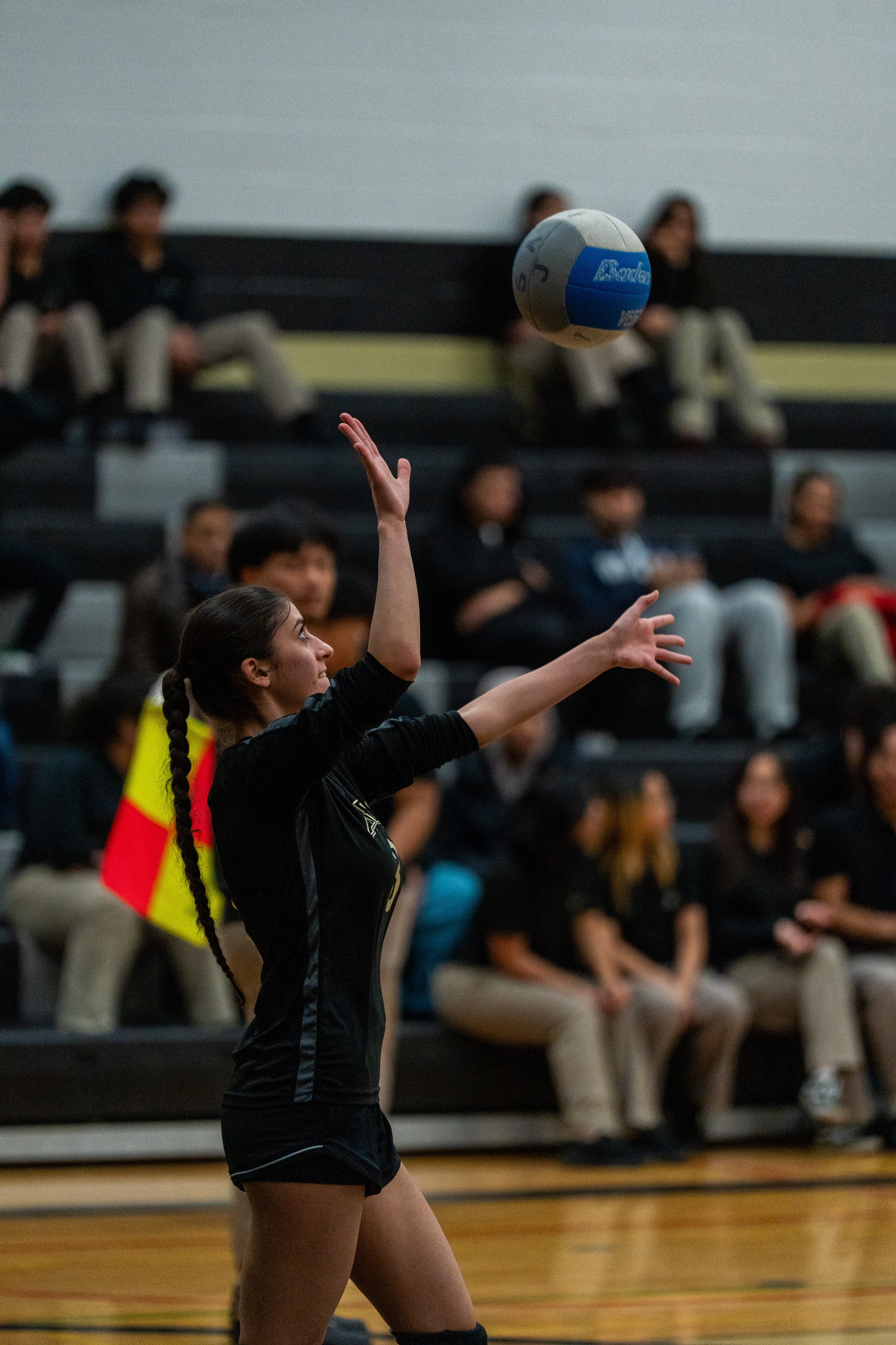 A female volleyball player with a braid is preparing to serve, with her arm extended, during a match. In the background, spectators are seated in bleachers.
