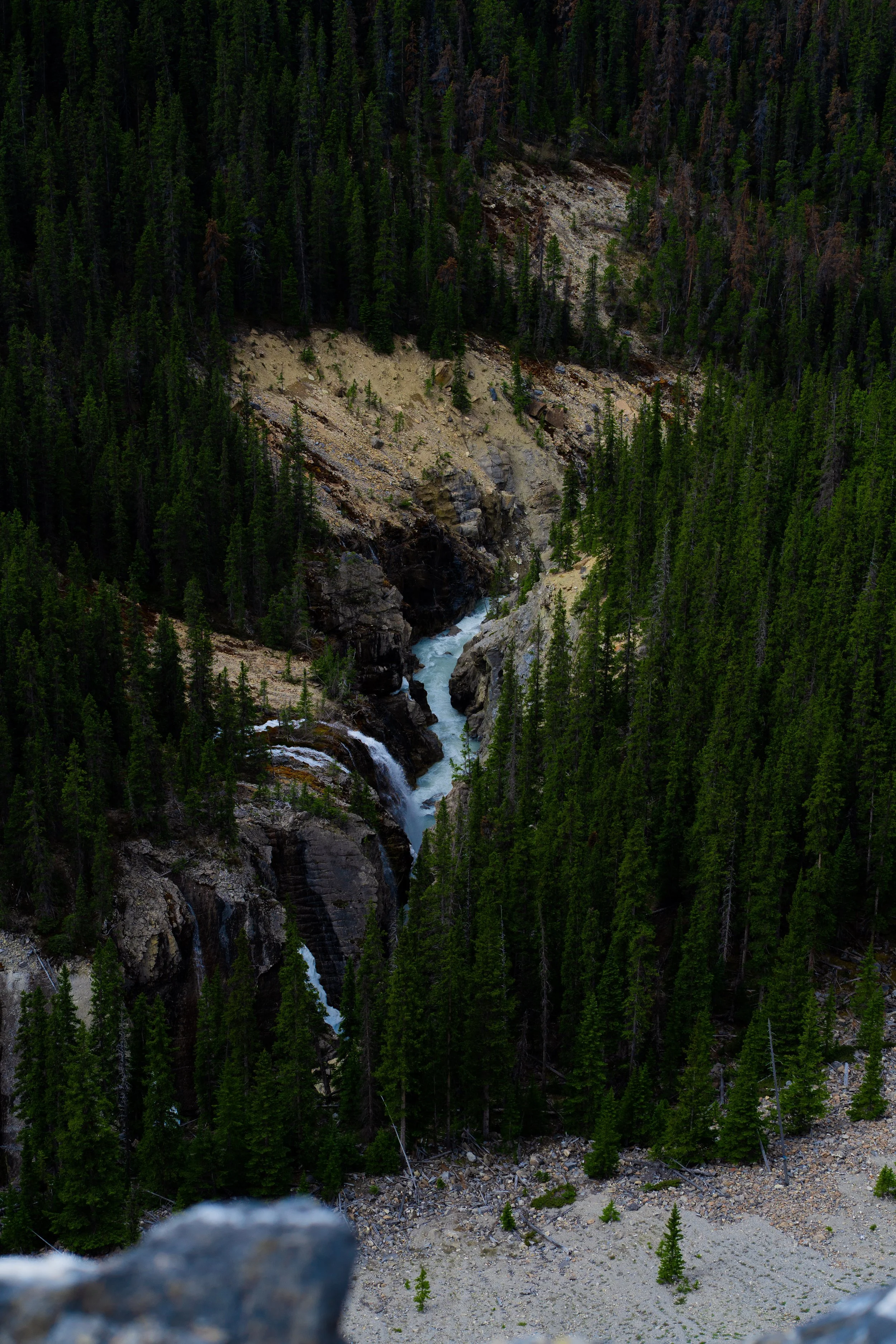Aerial view of a narrow river flowing through a steep, forested mountain canyon.