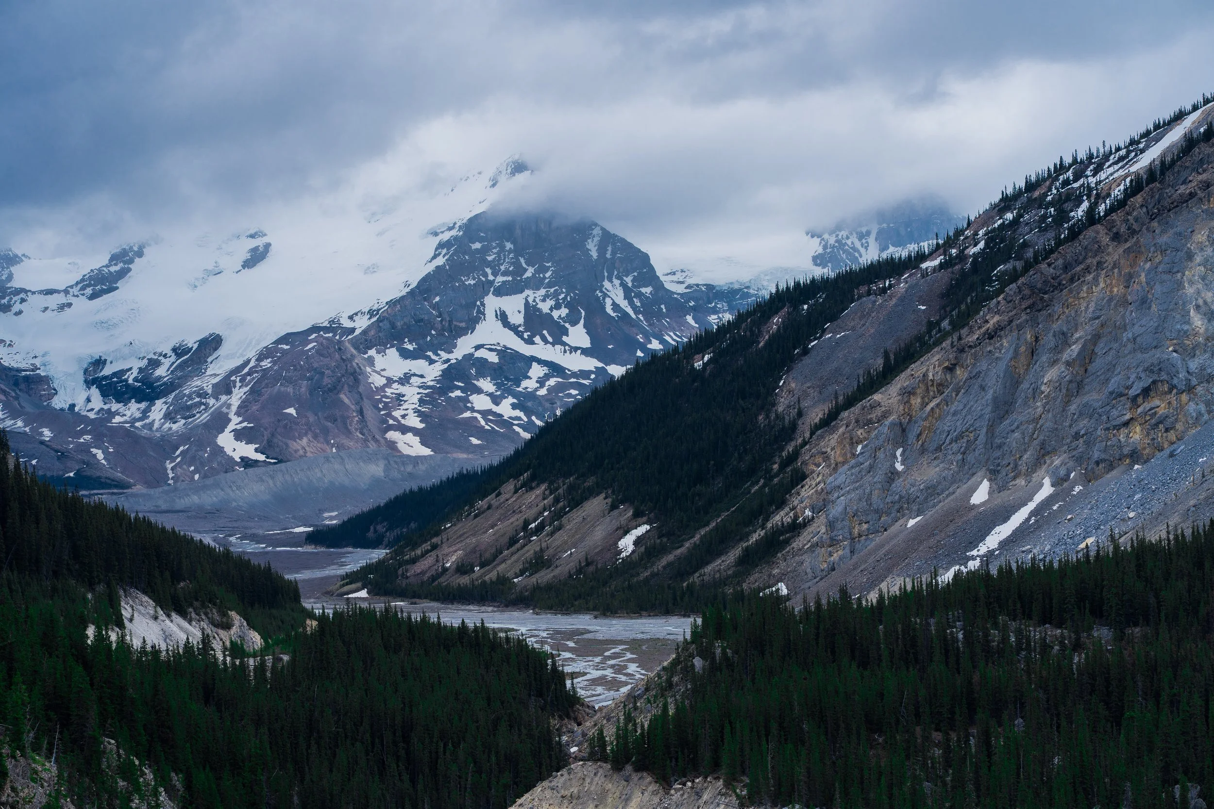Snow-capped mountains with rugged terrain and dense pine forests in a valley, under cloudy sky.