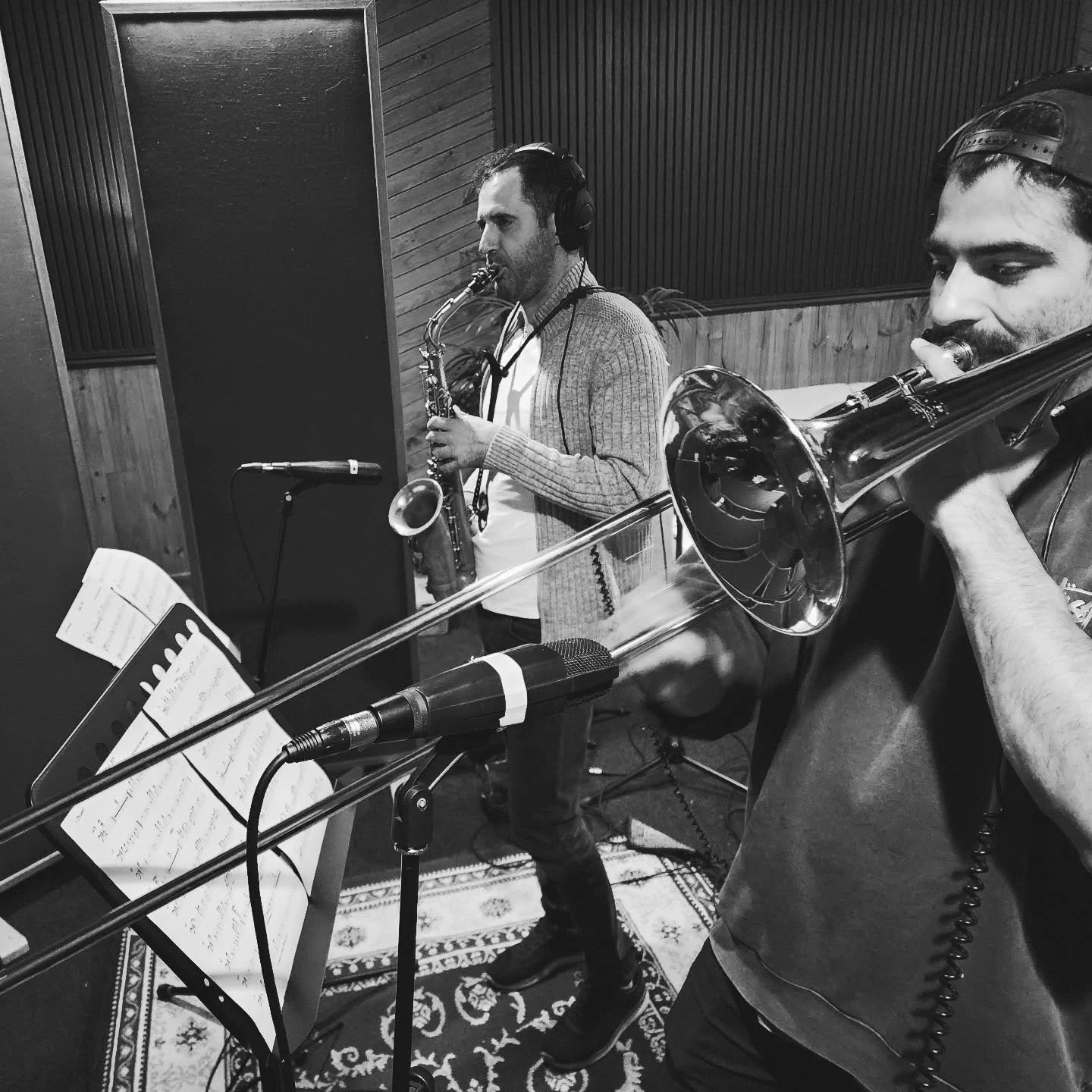 Horns