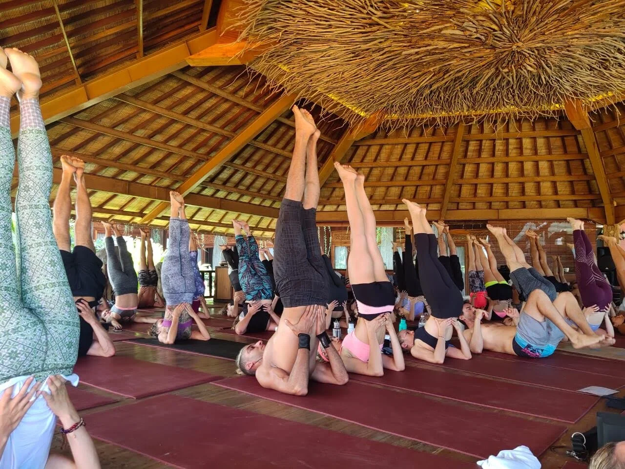 Udara Bali - Hatha Yoga class