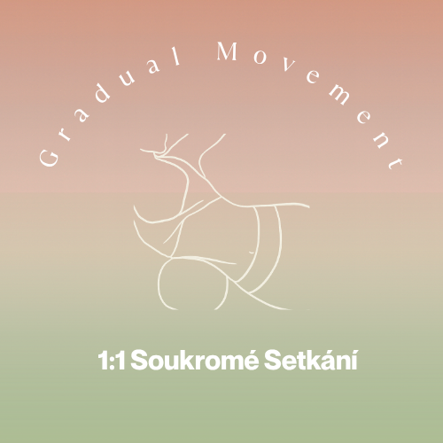 1:1 Soukromé Setkání