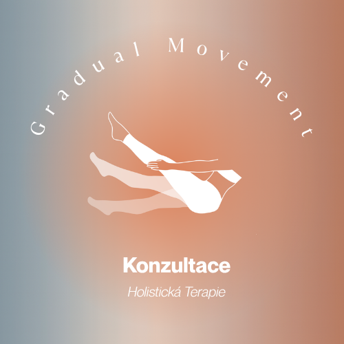 Konzultace