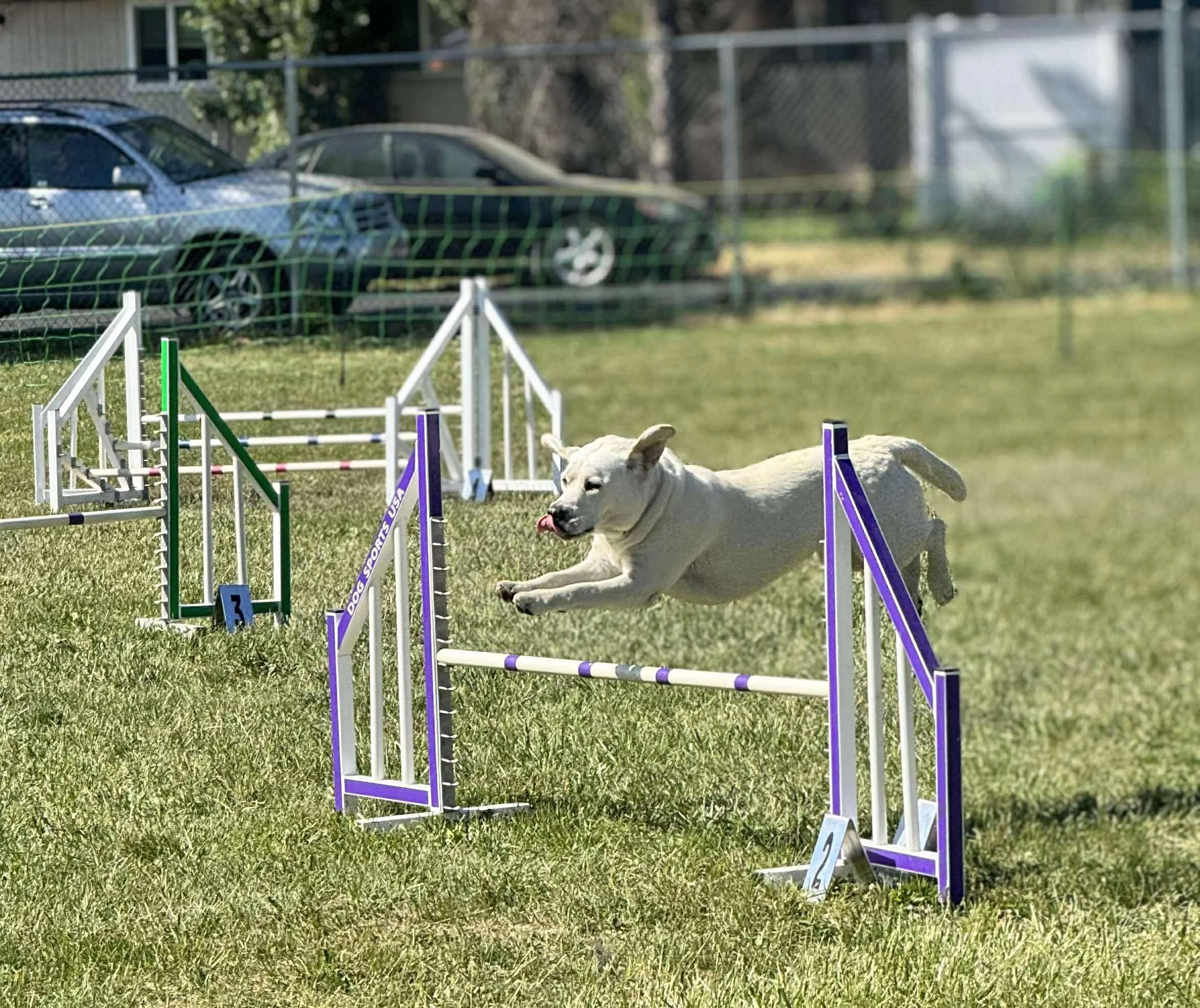 Michelle &amp; Pearl