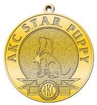 AKC Star Puppy