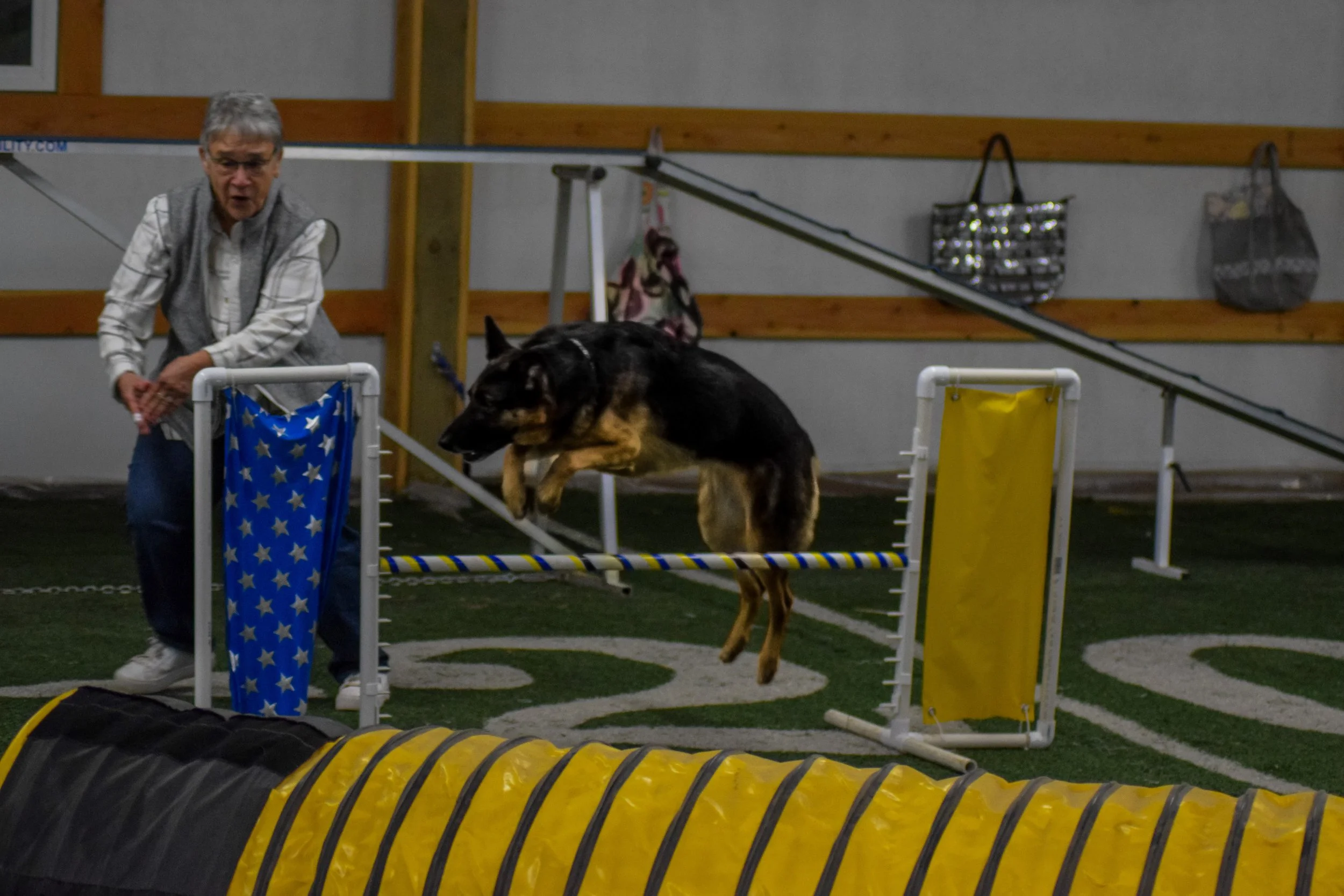 Agility class-12.jpeg
