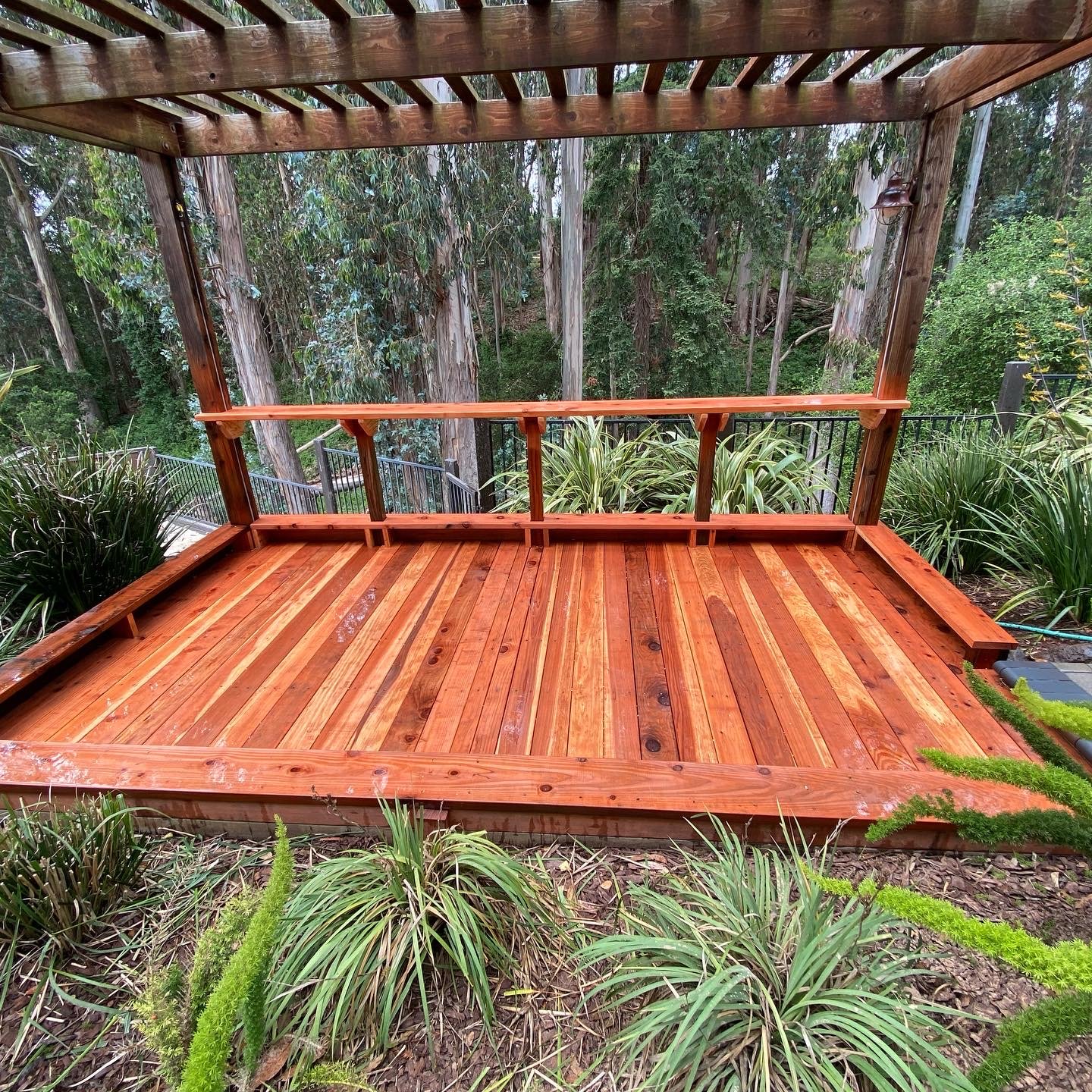 Freshly built wooden deck with a partial railing, surrounded by greenery and trees, in a natural outdoor setting.