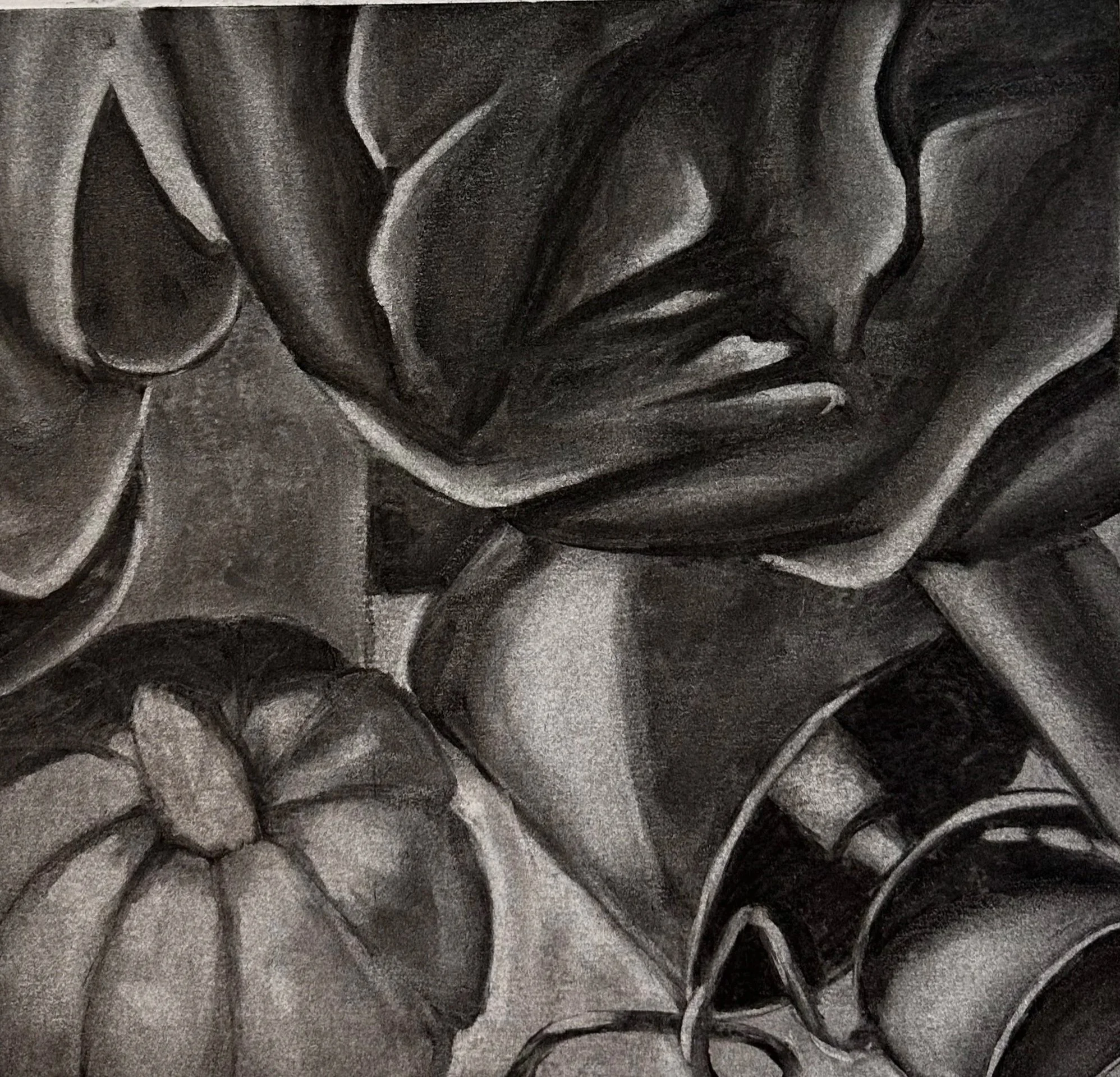 Still Life (Charcoal) 