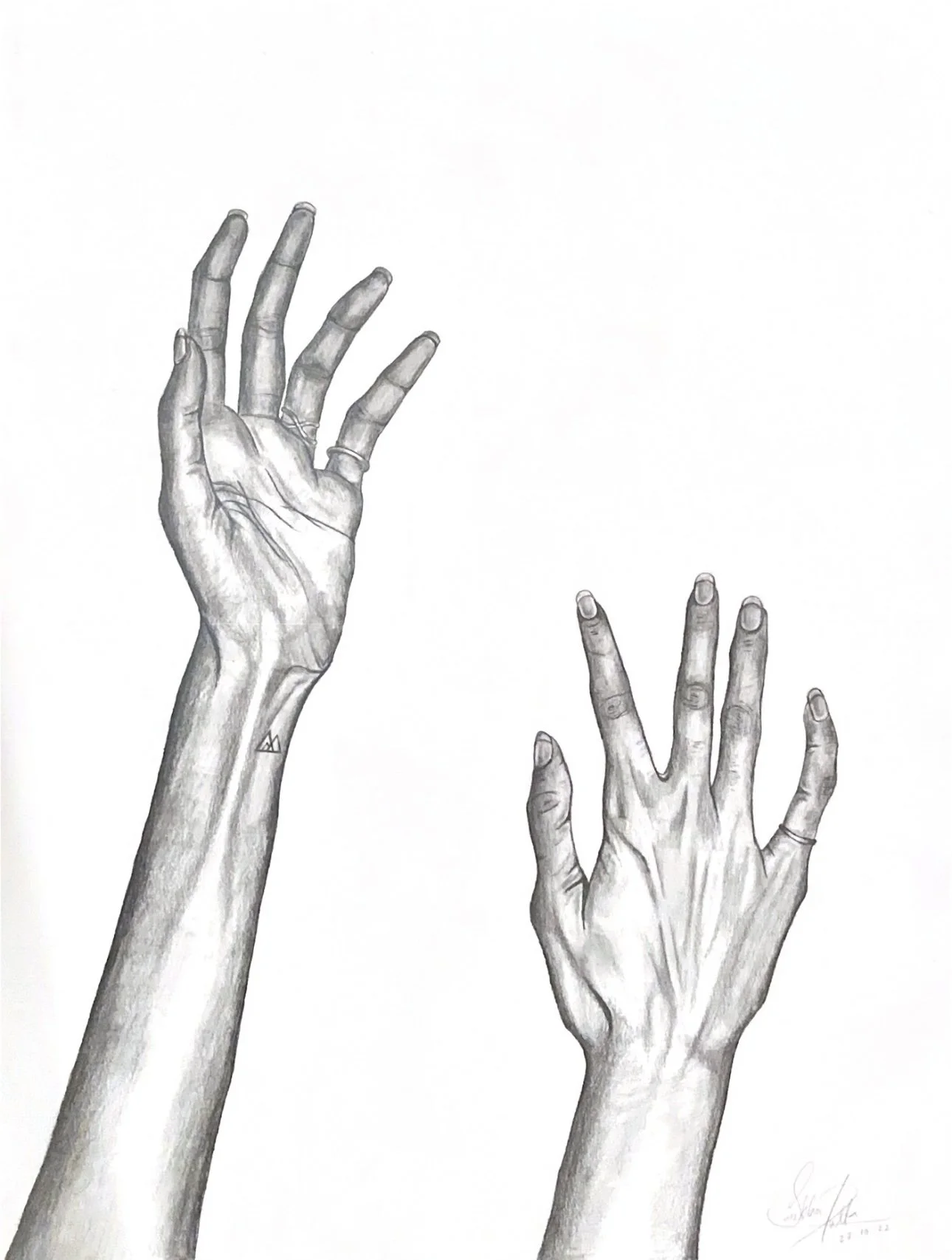 Hands Anatomy (Graphite) 