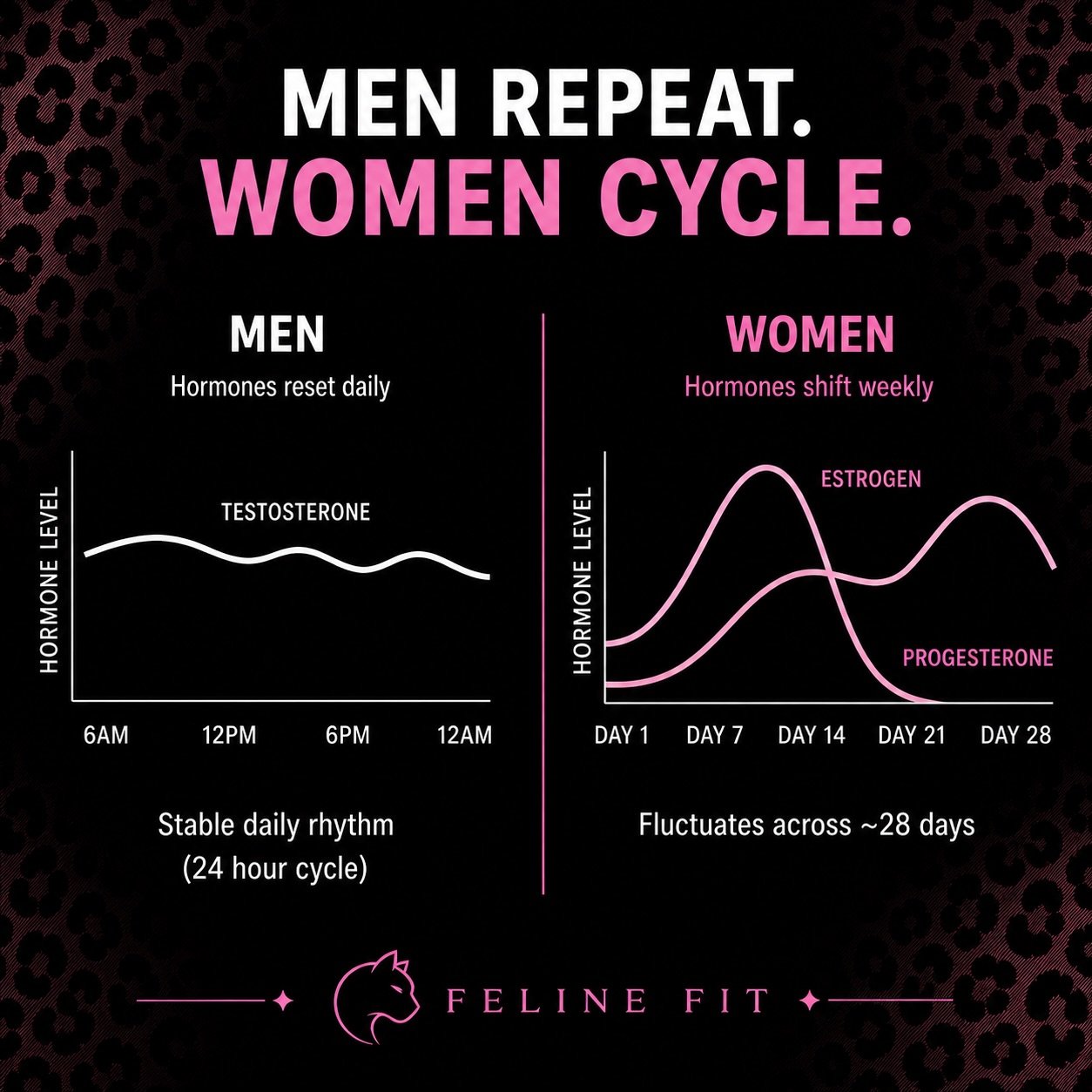 Most training programs were built on male physiology.
Stable hormones. Linear progress. Same output, day after day.

Women don&rsquo;t operate like that.

Your body shifts across the month.
Strength builds, peaks, and dips.
Recovery changes.
Metaboli