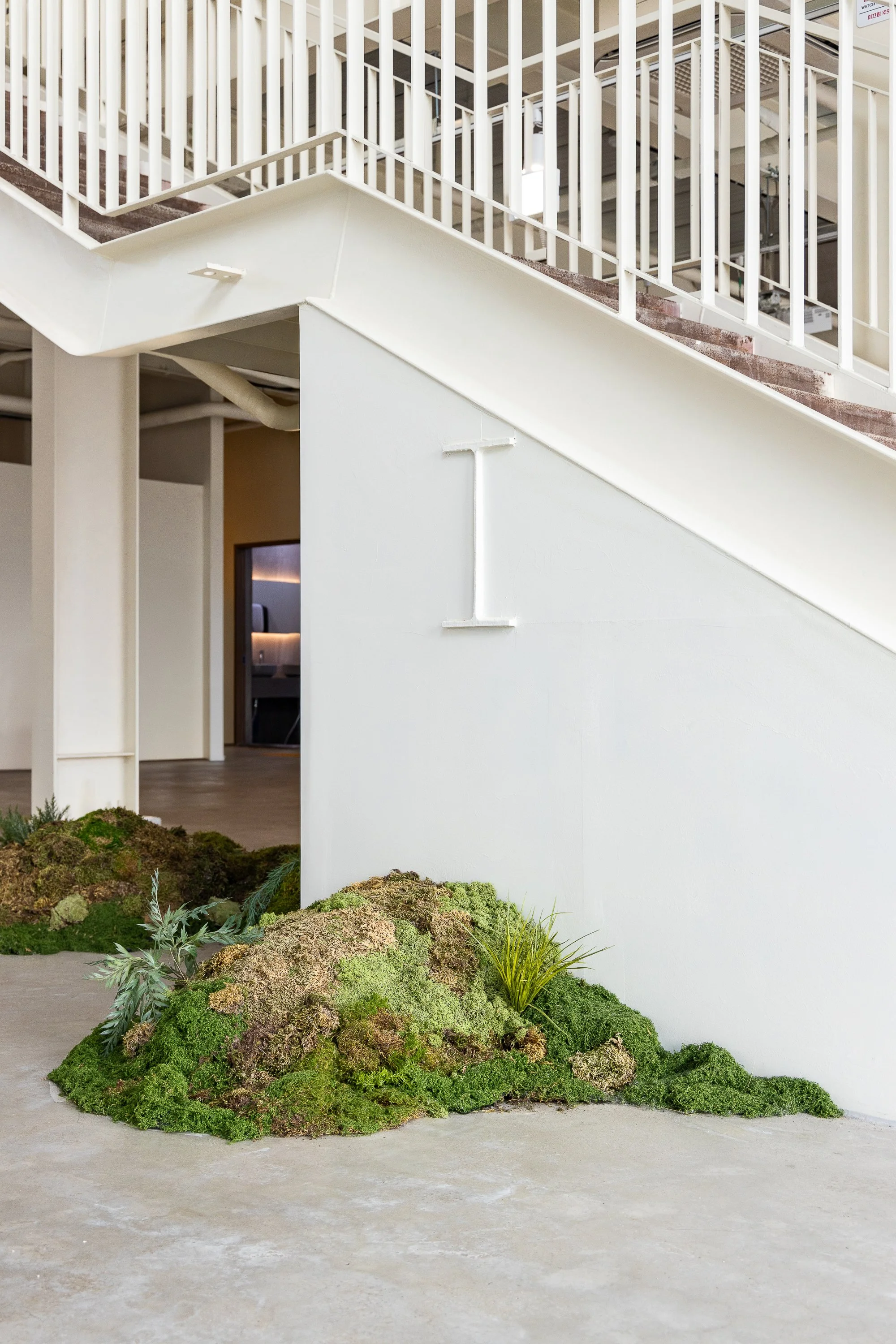 Indoor staircase with white railing next to a white wall with the letter 'I' on it. Moss and plants are at the base of the wall.